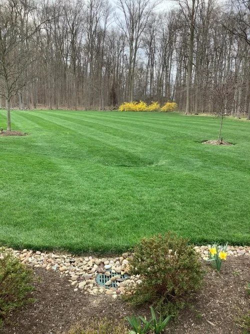 Why Landscaping Companies Recommend Routine Lawn Fertilizer in the Hudson, OH Area
