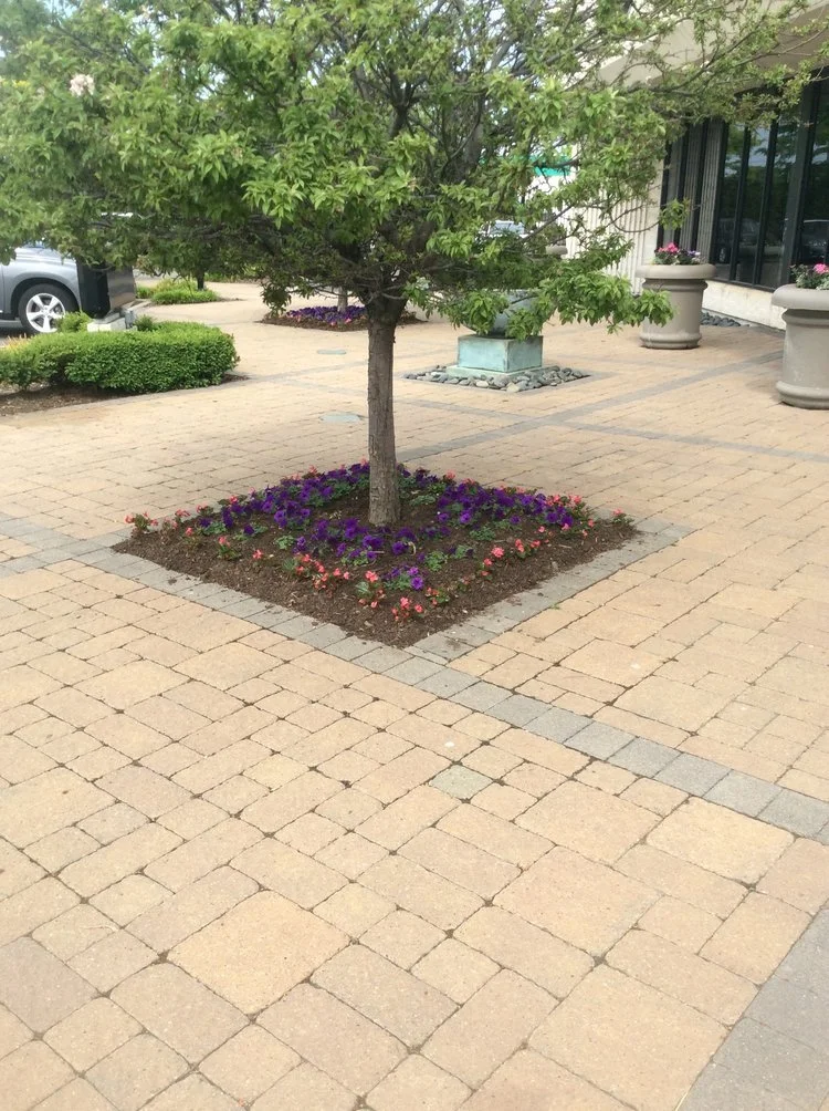 A Guide to Finding Top Rated "Landscapers Near Me" in the Pepper Pike and Hudson, OH Areas
