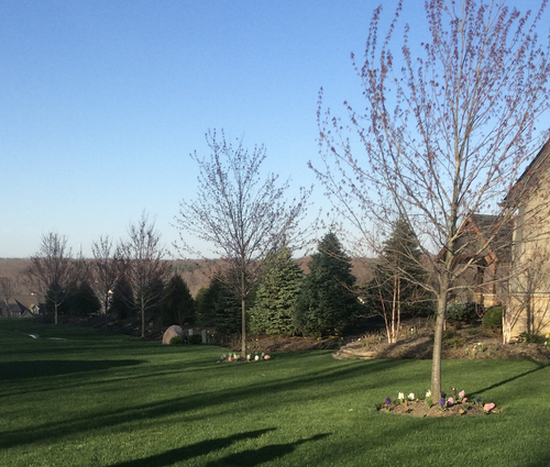 Lawn Mowing and Other Lawn Care Services to Help Your Landscape Design Look Its Best in Bainbridge Township, OH
