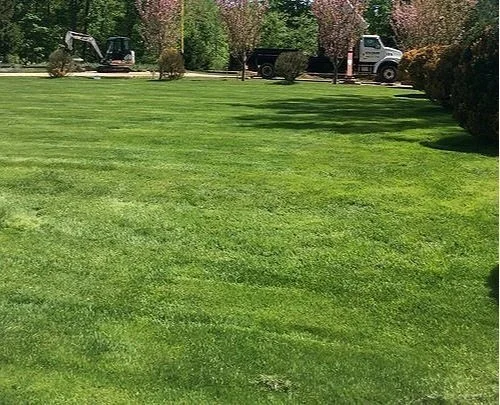 Discover How Professional Lawn Care Plans by Landscaping Companies in the Pepper Pike and Chagrin Falls, OH Areas Enhances Your Property