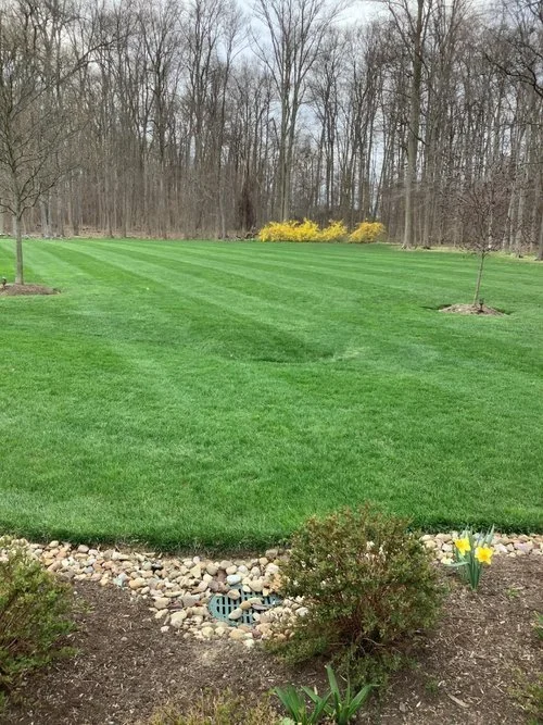 The Power of Precision: How Expert Lawn Mowing is Essential for Lawn Care in the Moreland Hills, OH Area
