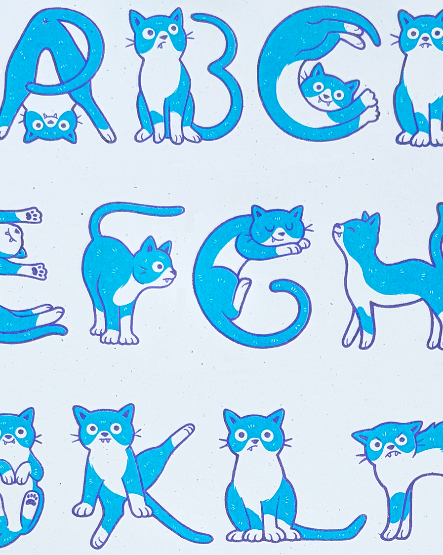CatAlphabet_Photo_Detail.png