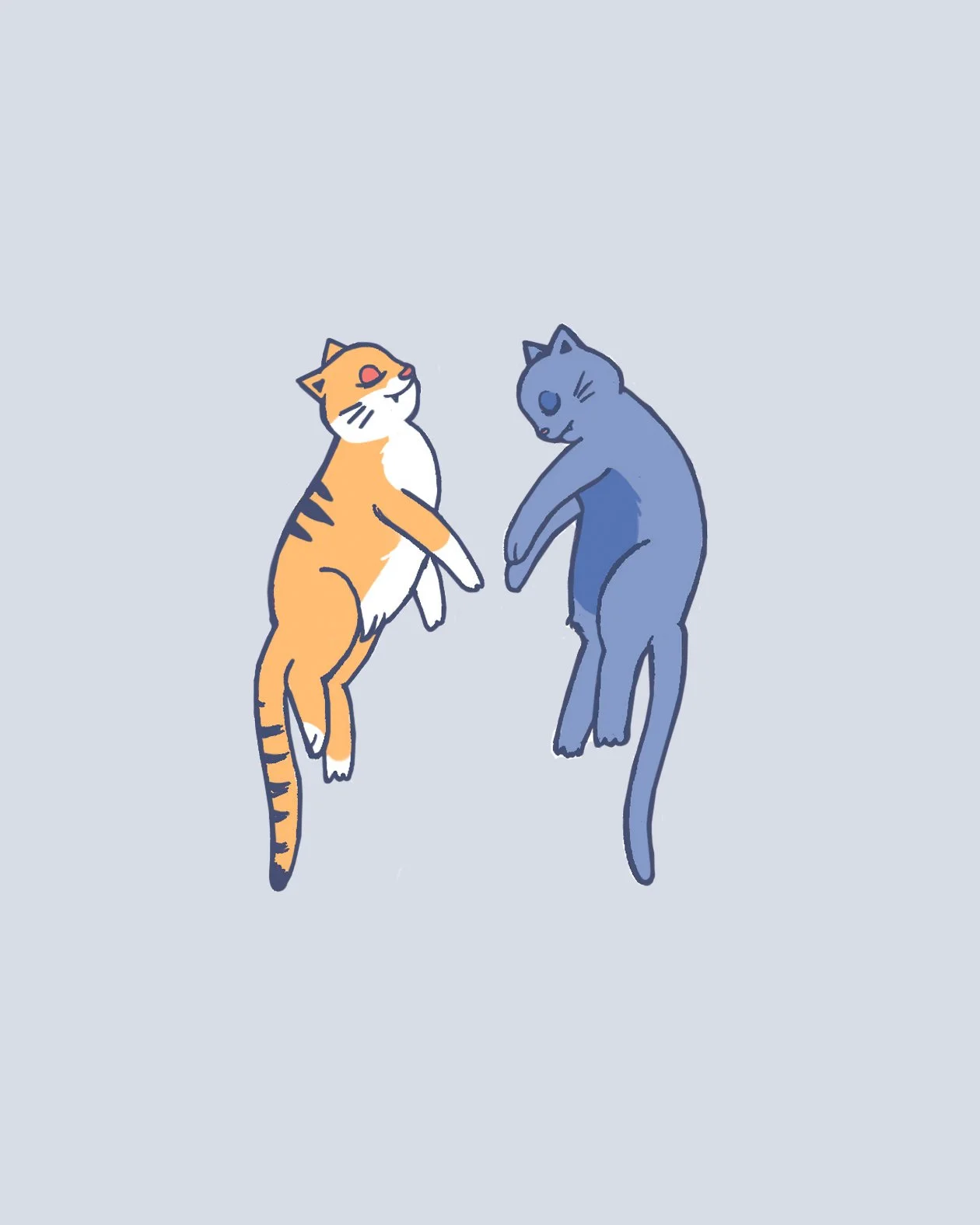CatsForIG_6.jpg