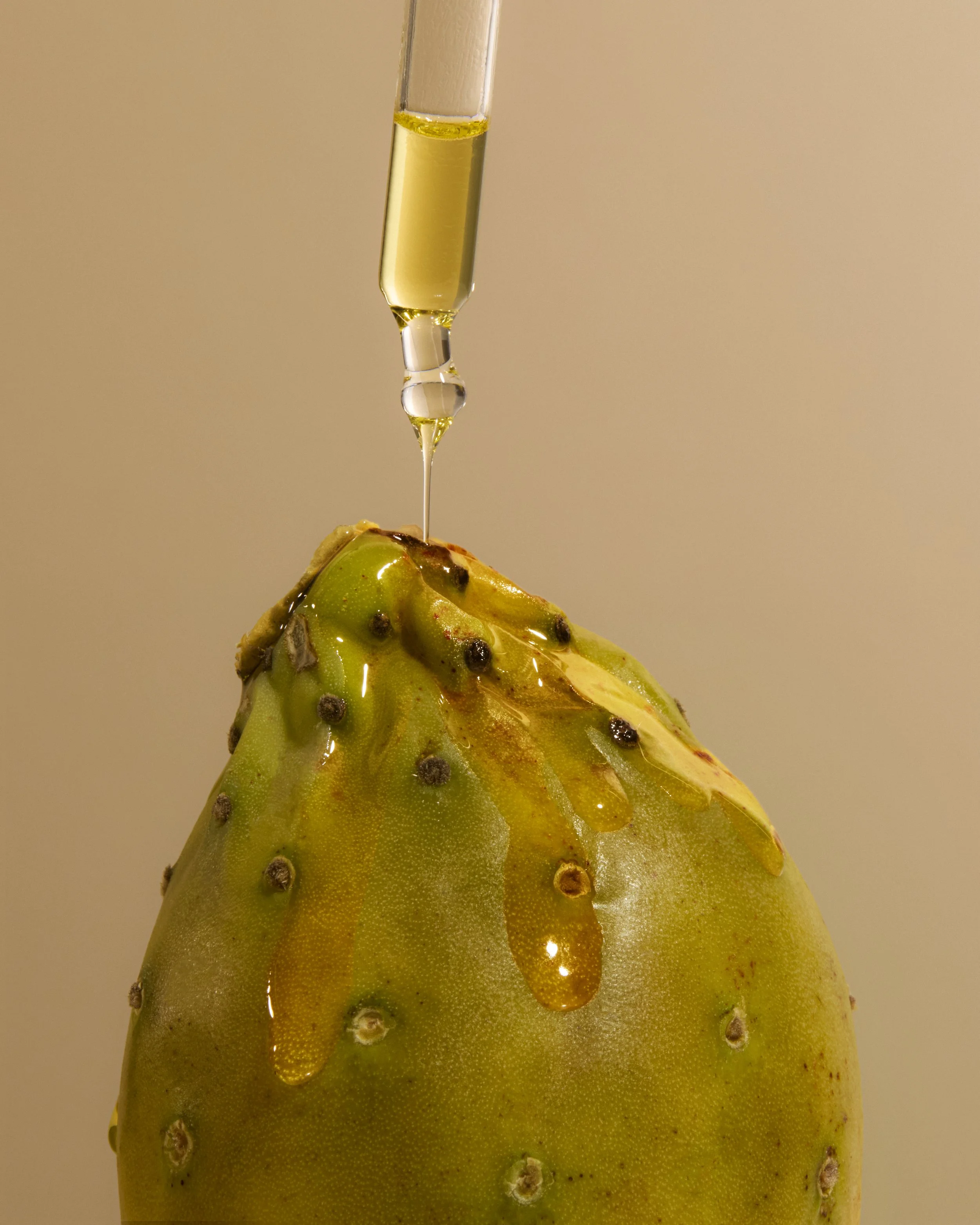 2025_04_15_BAGENCY4931_R1.jpg