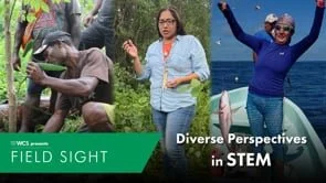 Diverse Perspectives in STEM