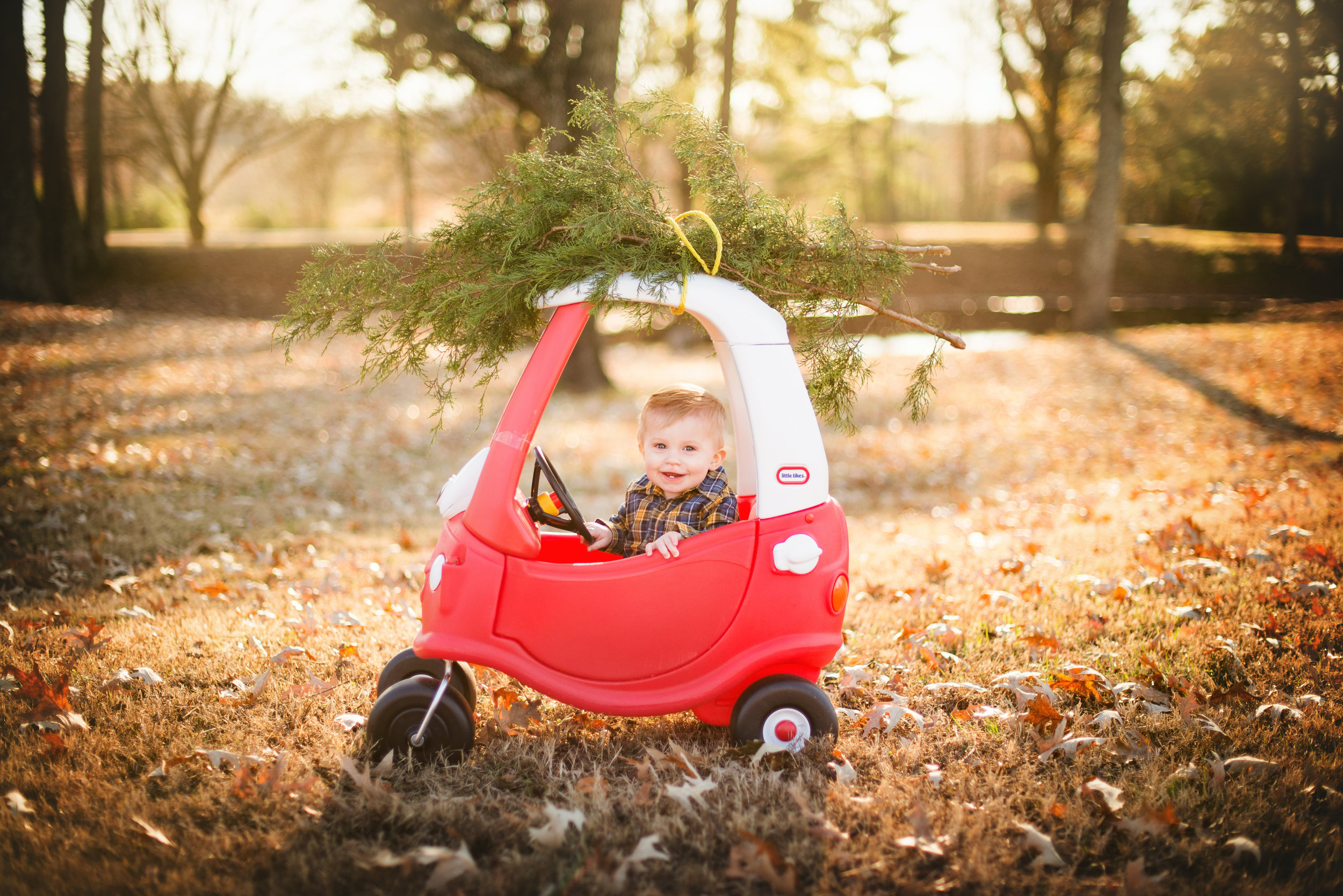 hernandofamilyphotographerdavis-2.jpg