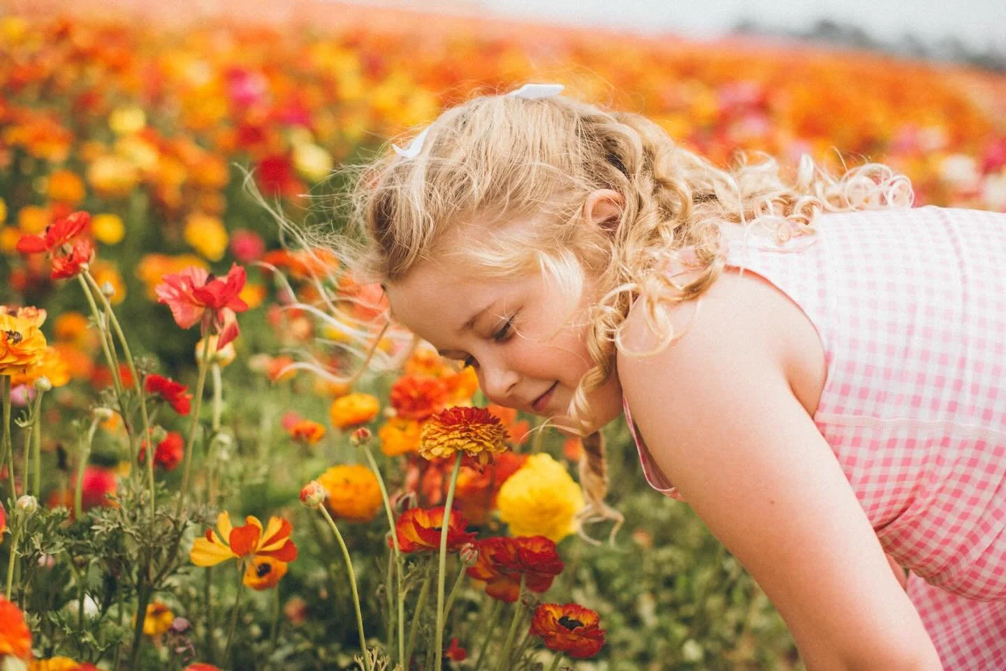 My wildflower 🌼 ❤️