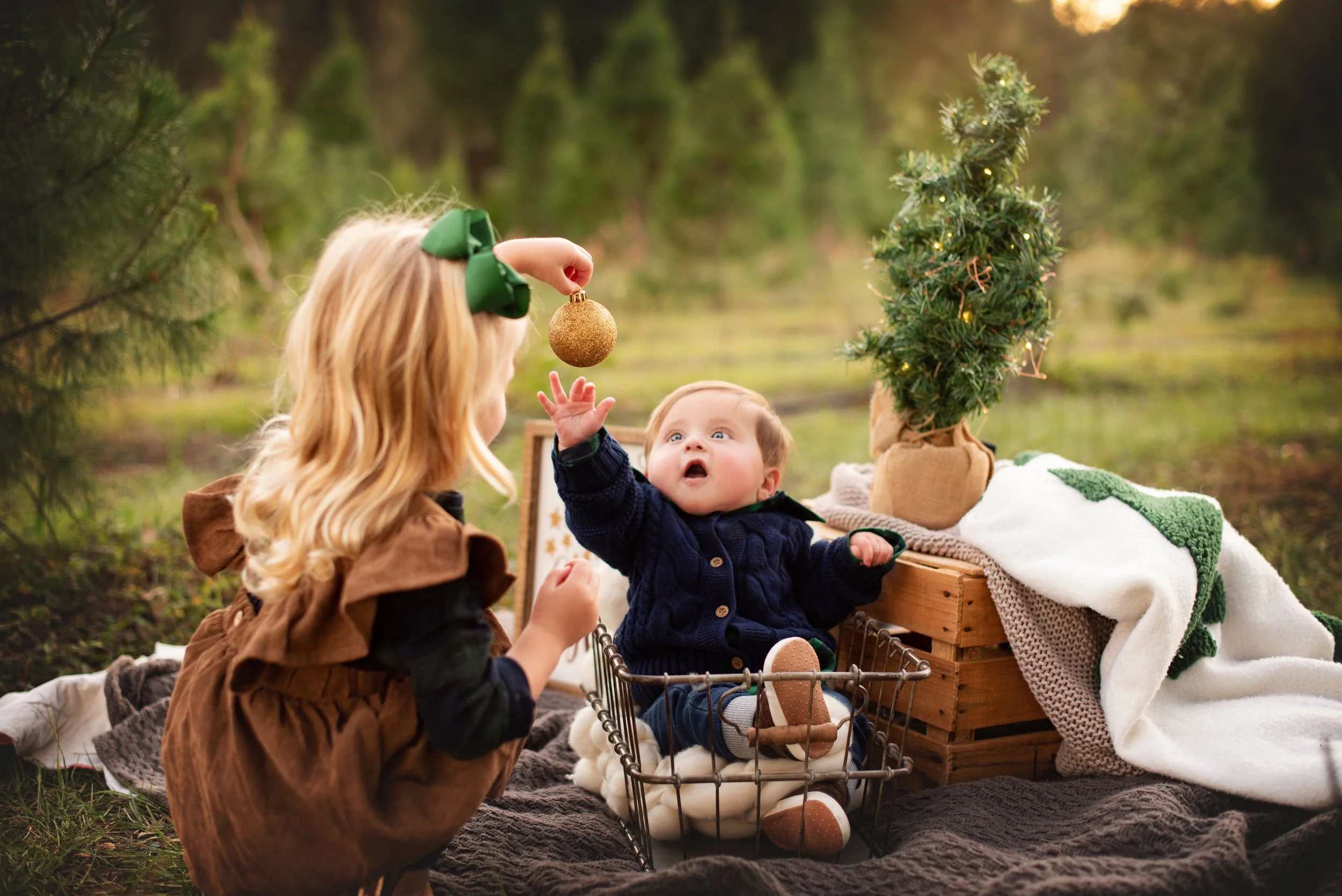 cecelialucyphotographyknightchristmastreefarmmini-25.jpg (Copy)