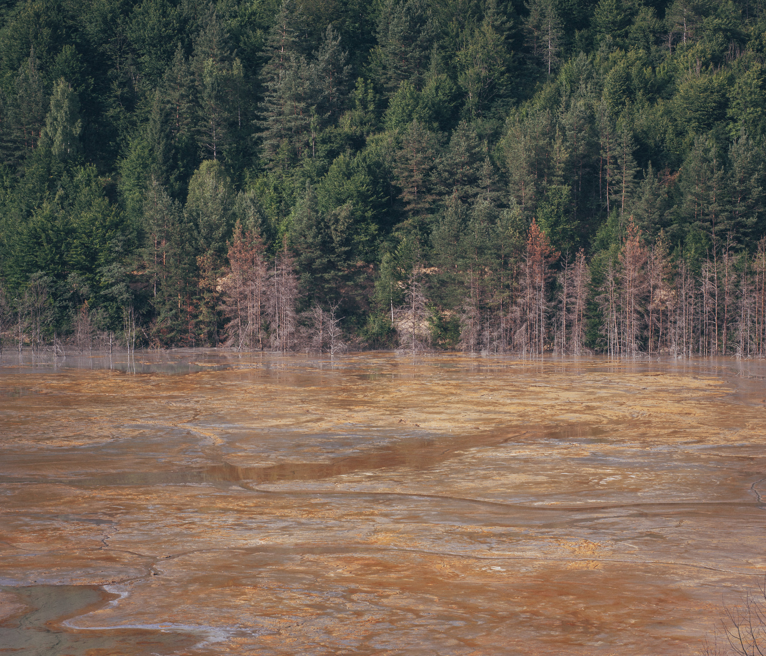  Anfang der 2000er Jahre hat der kanadischen Konzern Gabriel Resources die Rechte zum Betreiben einer Goldmine erworben, zum Abbau soll hochgiftiges Zyanid verwendet werden. 