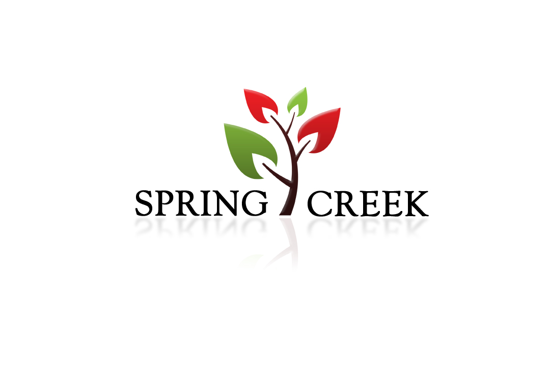Spring Creek.jpg
