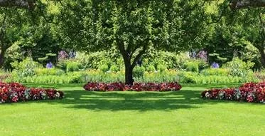 Shade Garden.jpg