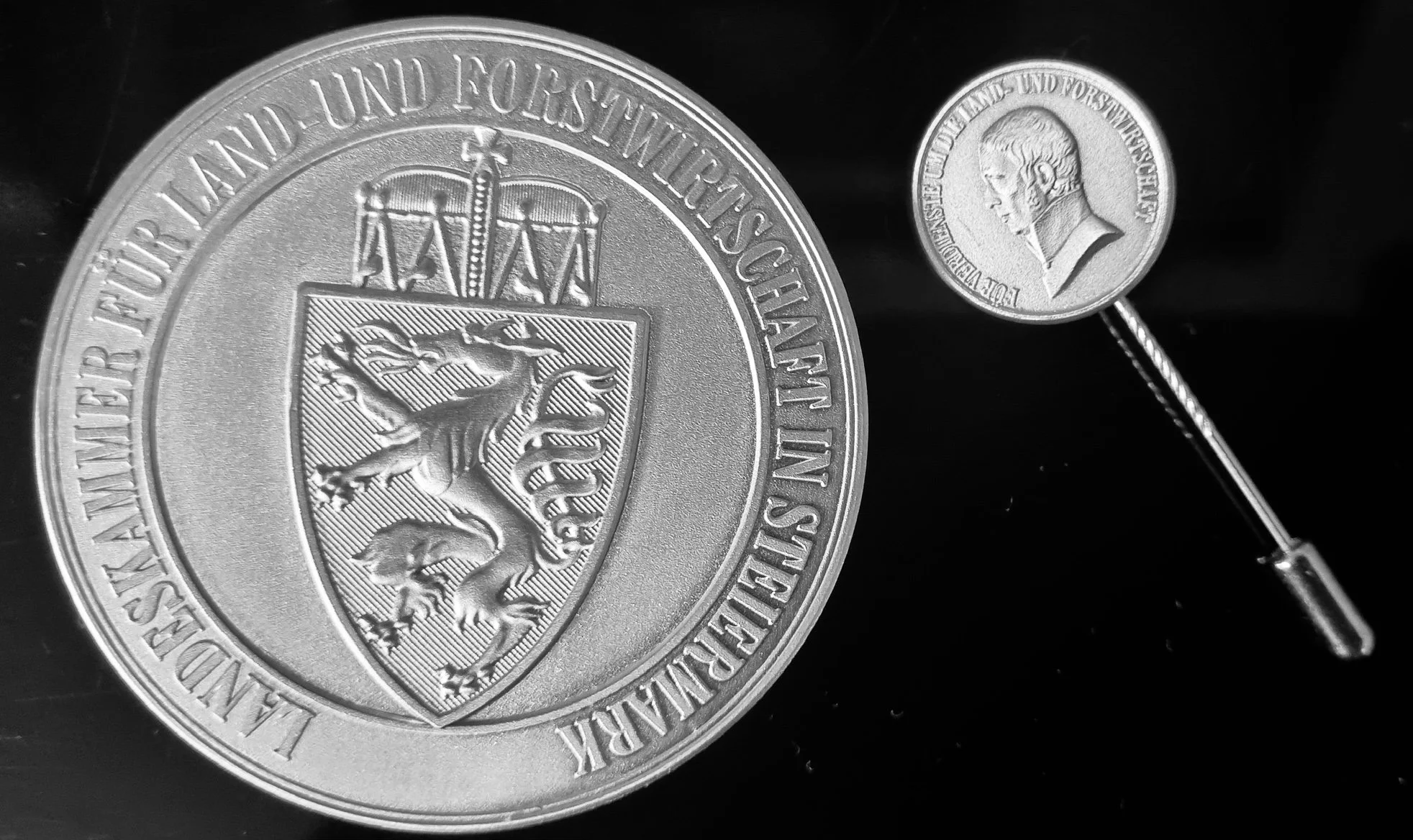 Die Kammermedaille in Silber mit Anstecknadel