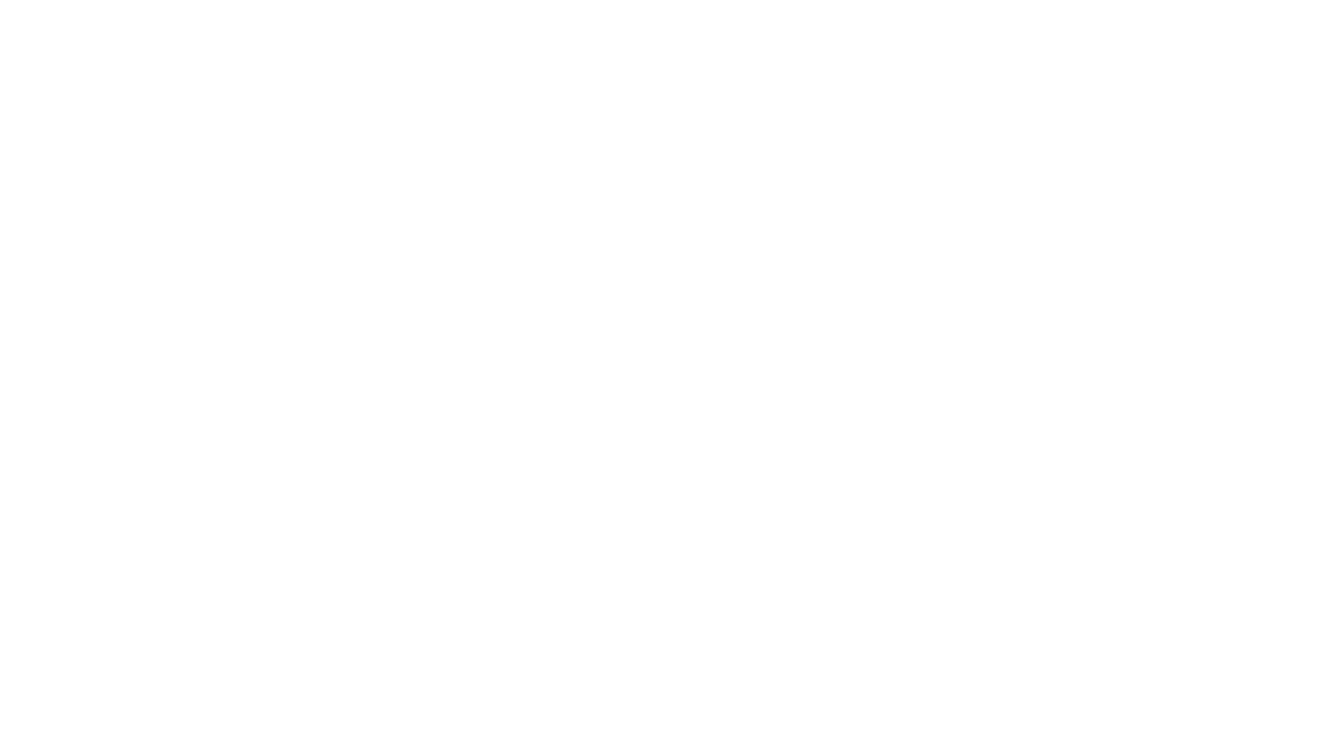 The Lacey Coalition