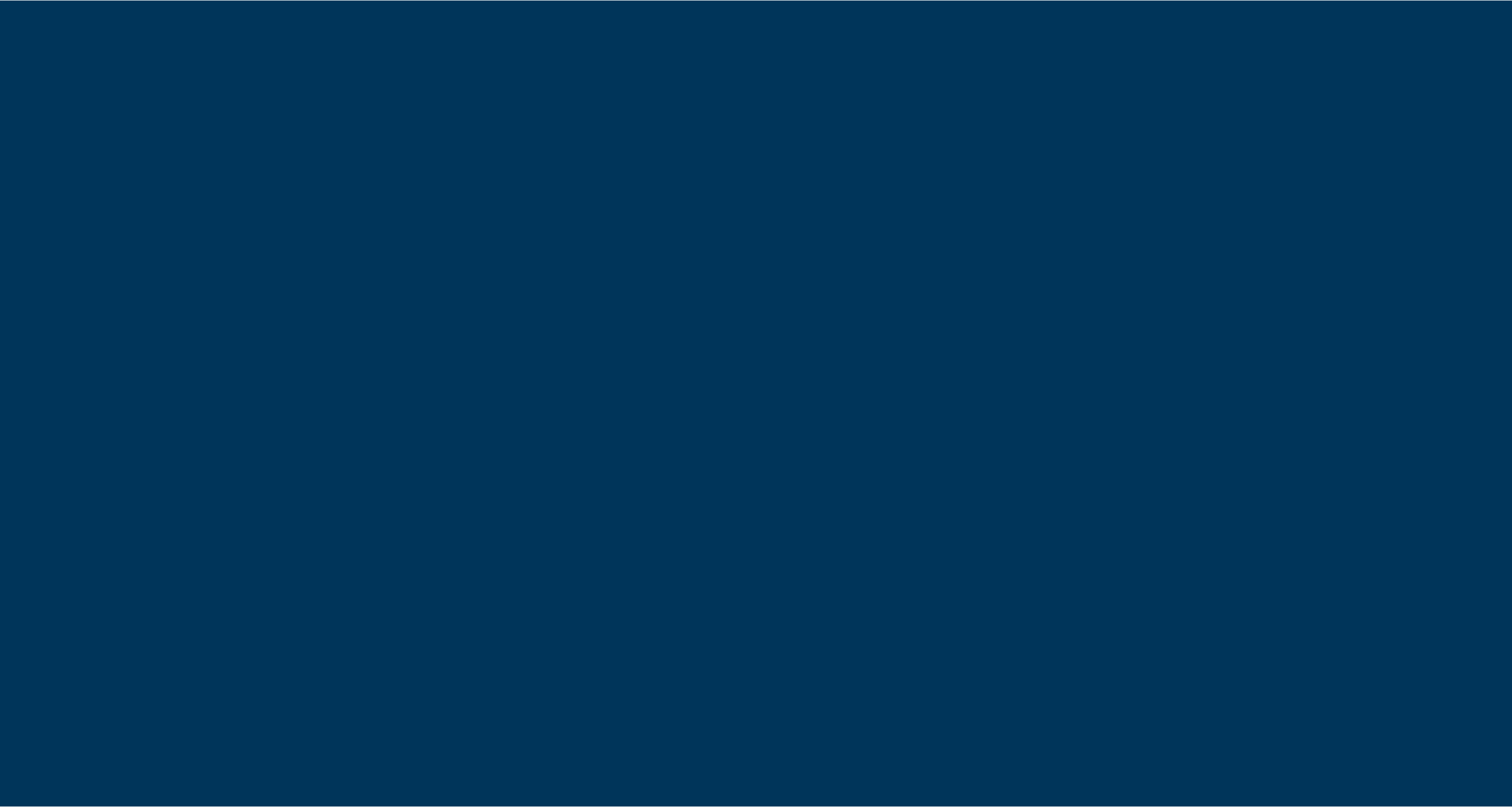 Navy Banner.png
