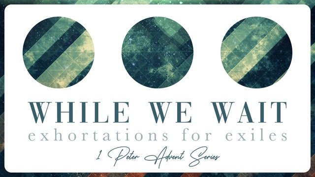 2024 Advent | While We Wait