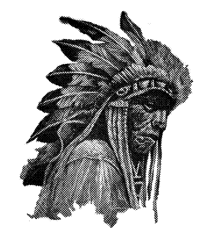 Apache.png