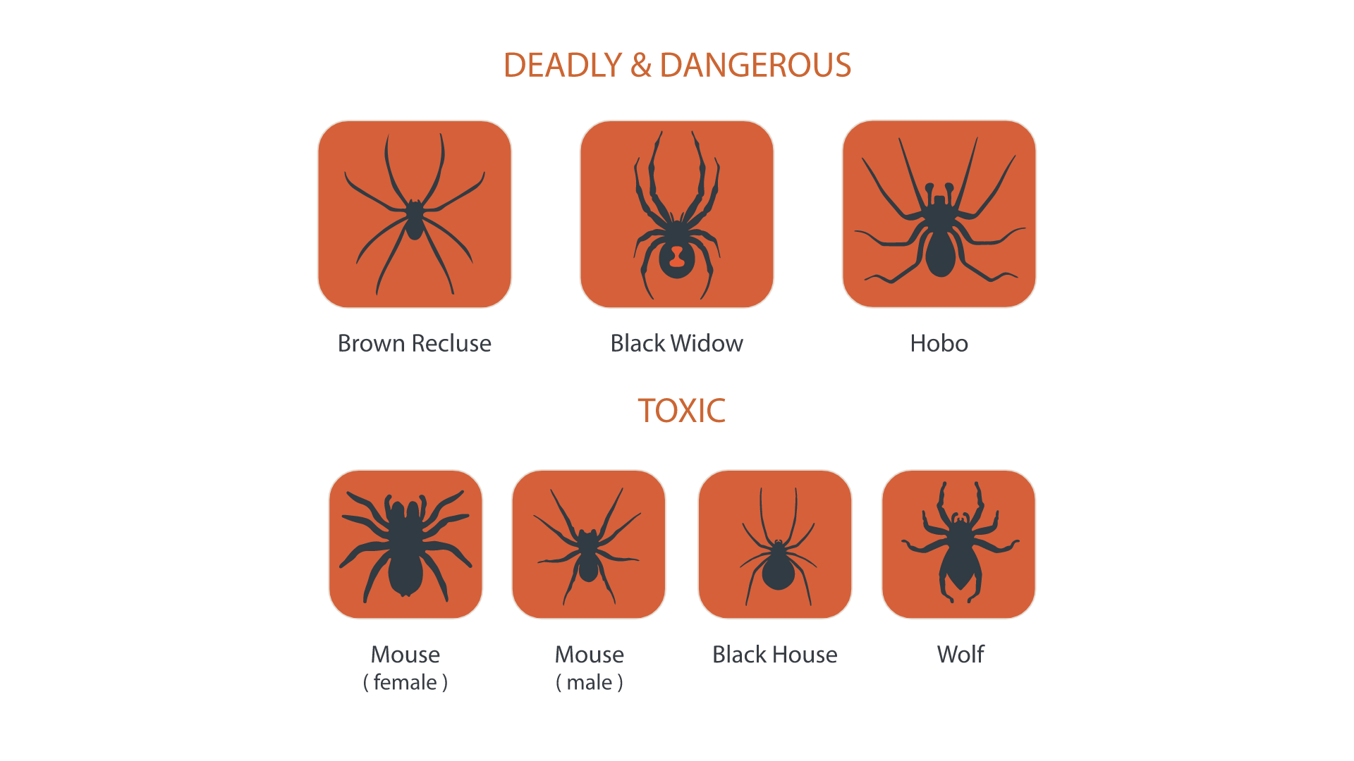 Web 1920 – 34.png