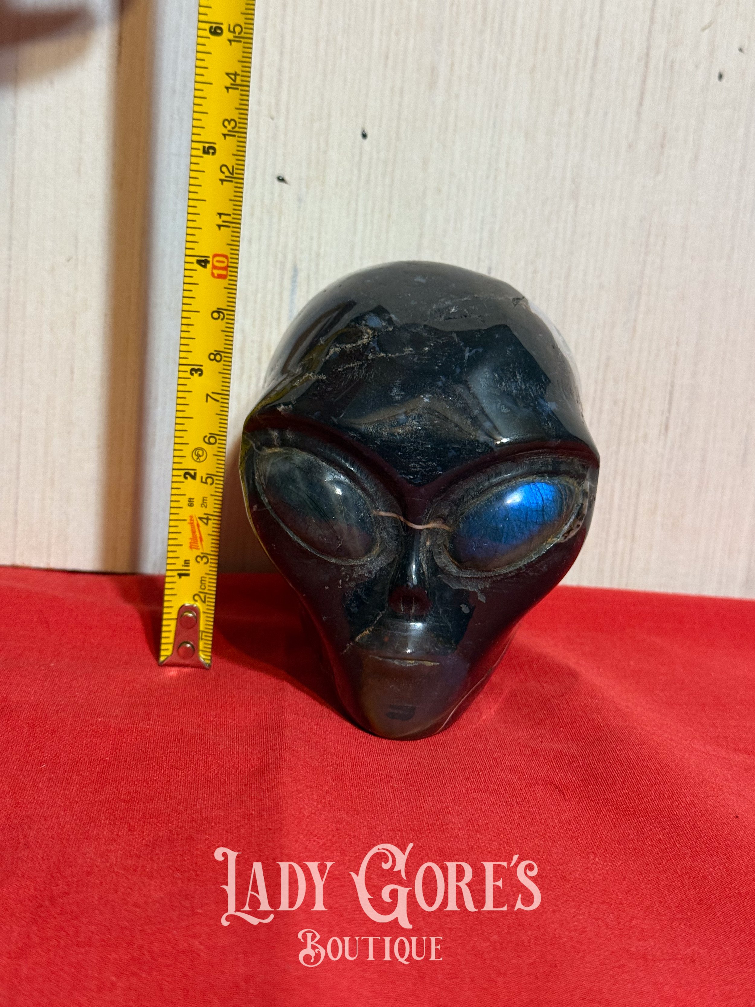 Lady Gore - Zebra Agate Alien Head-1.jpg