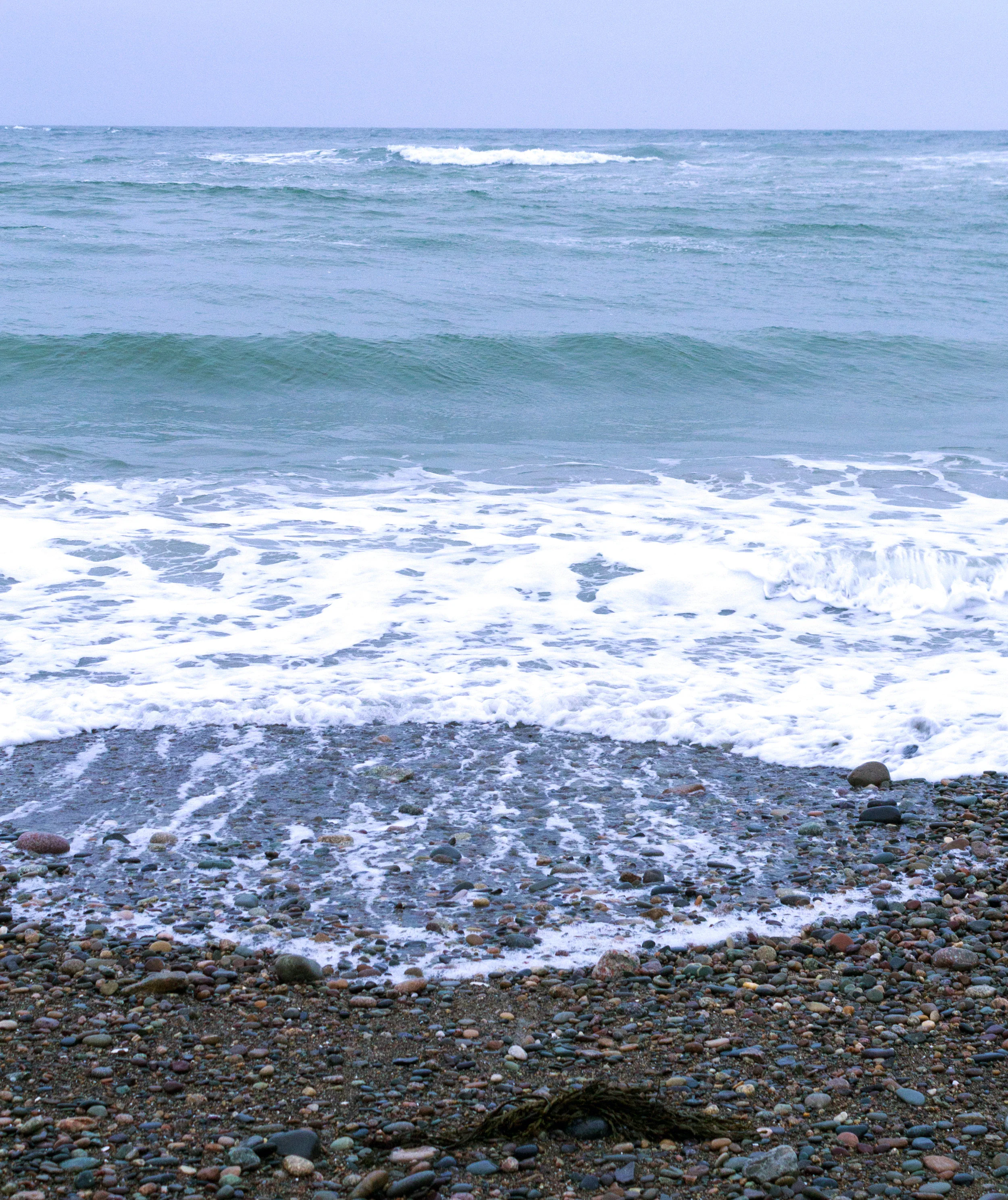 ocean with seasweed .jpg