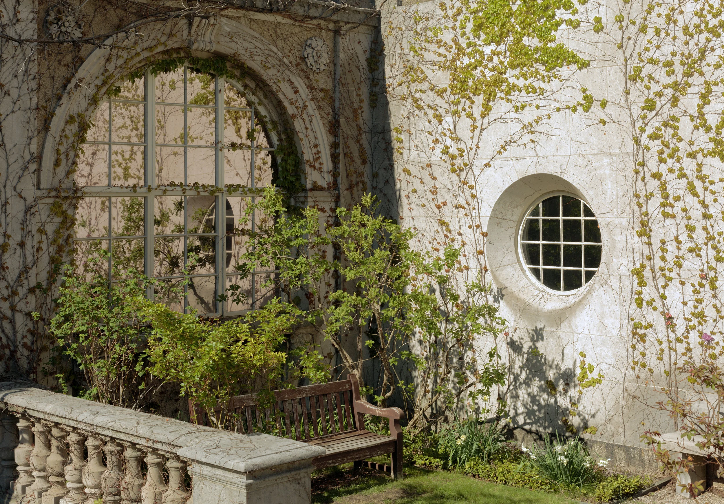 Garden.jpg