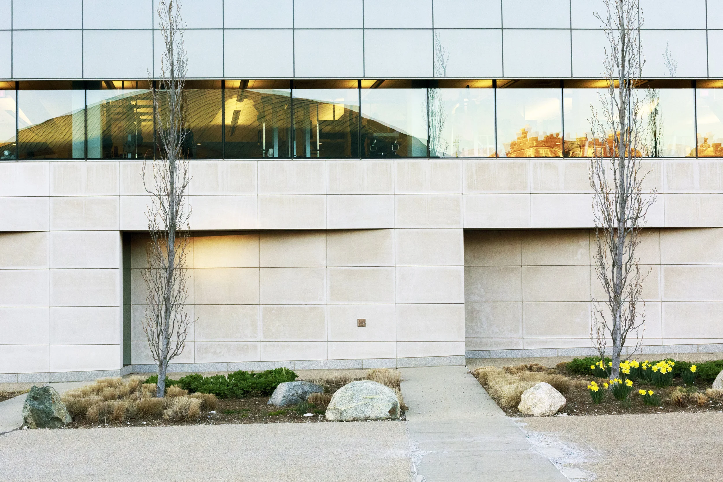 MIT White Building.jpg