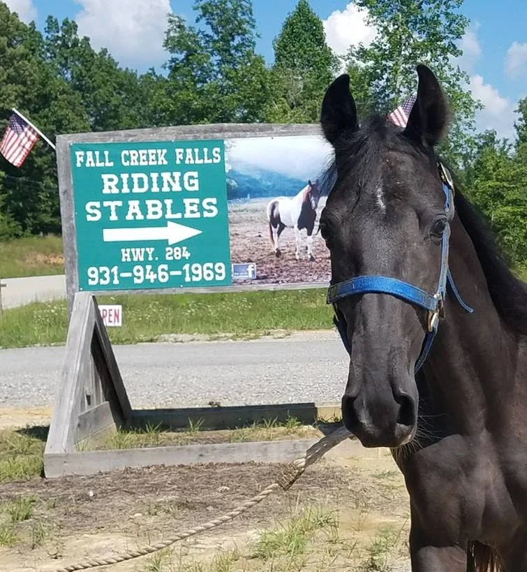 Fall+Creek+Falls+Riding+Stable.jpg