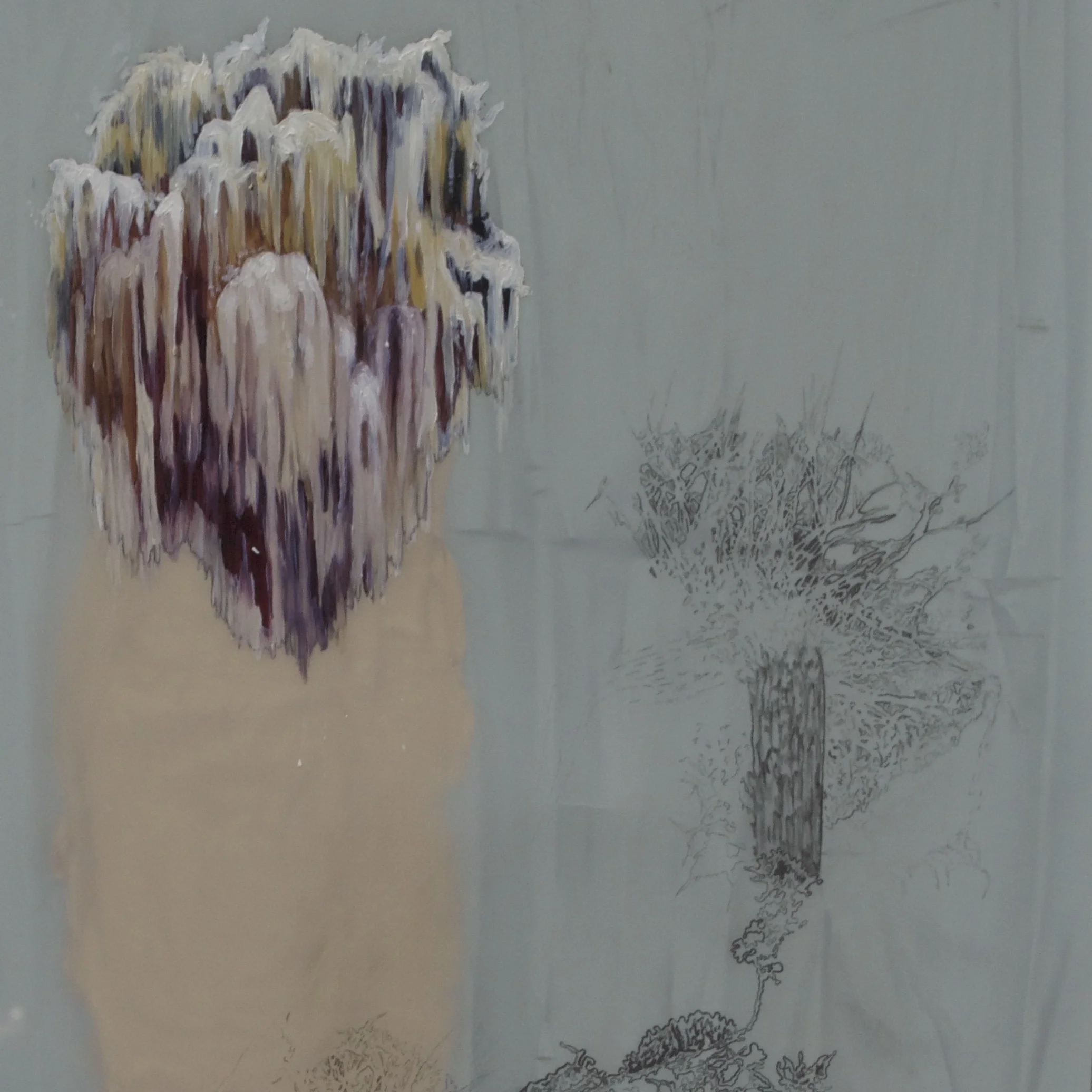 cloud mycelium. detail