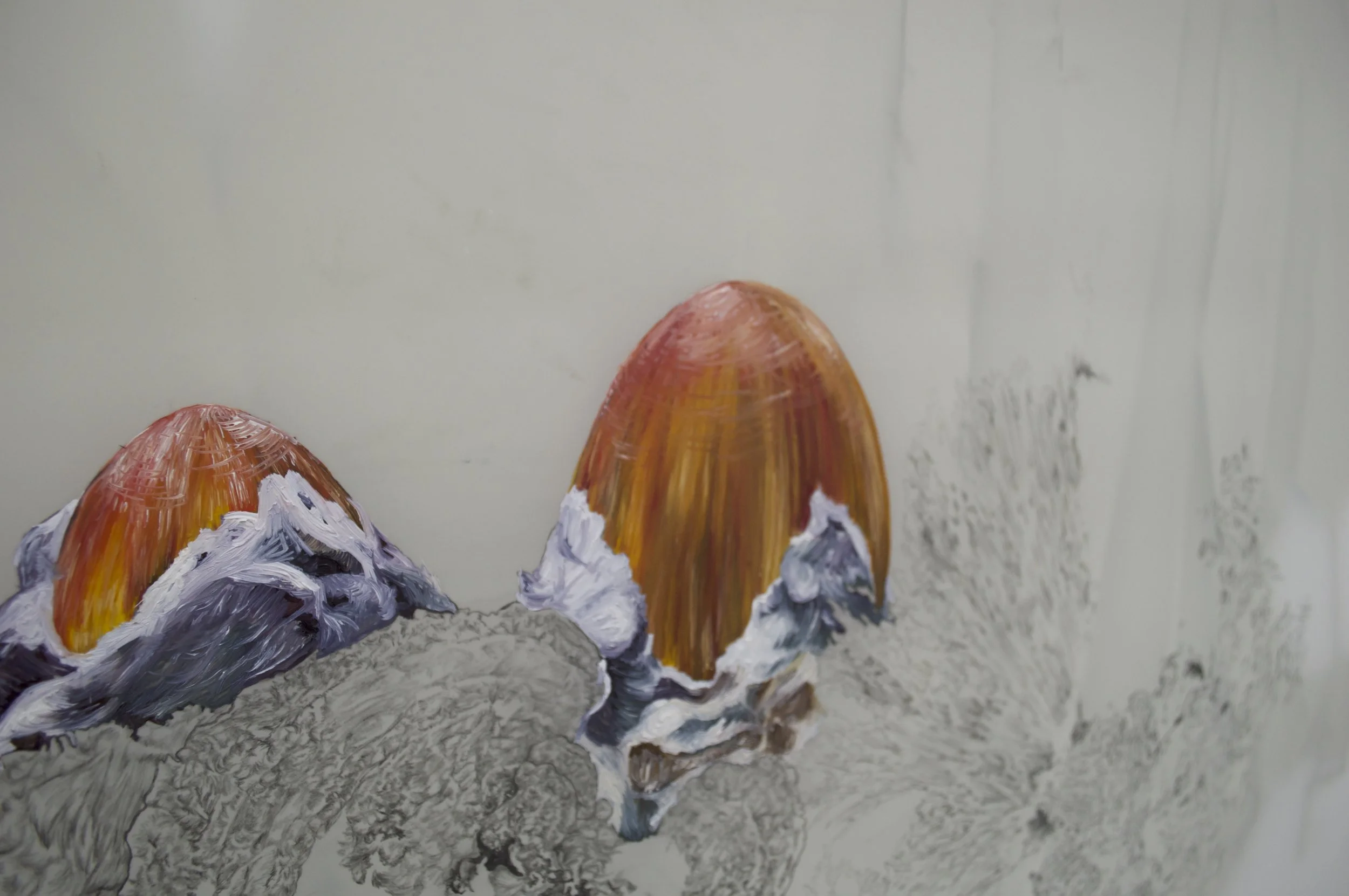 mushroom cap. detail