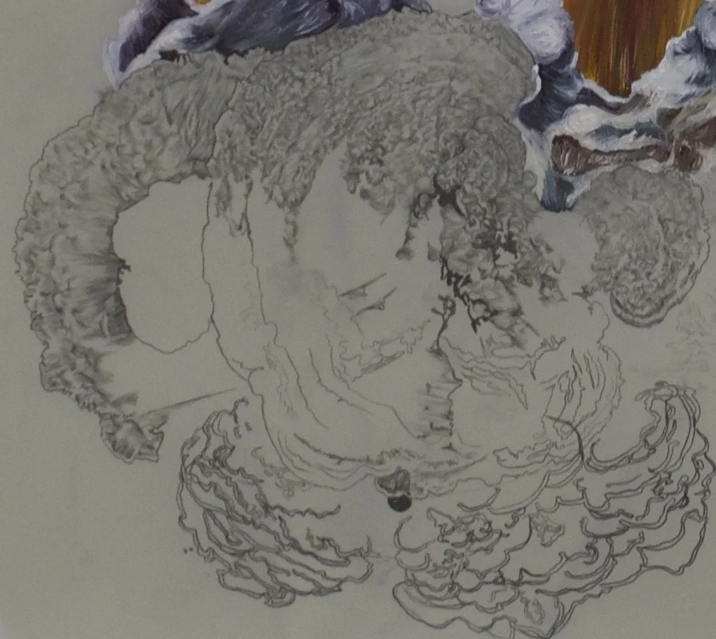 mushroom cap. graphite detail
