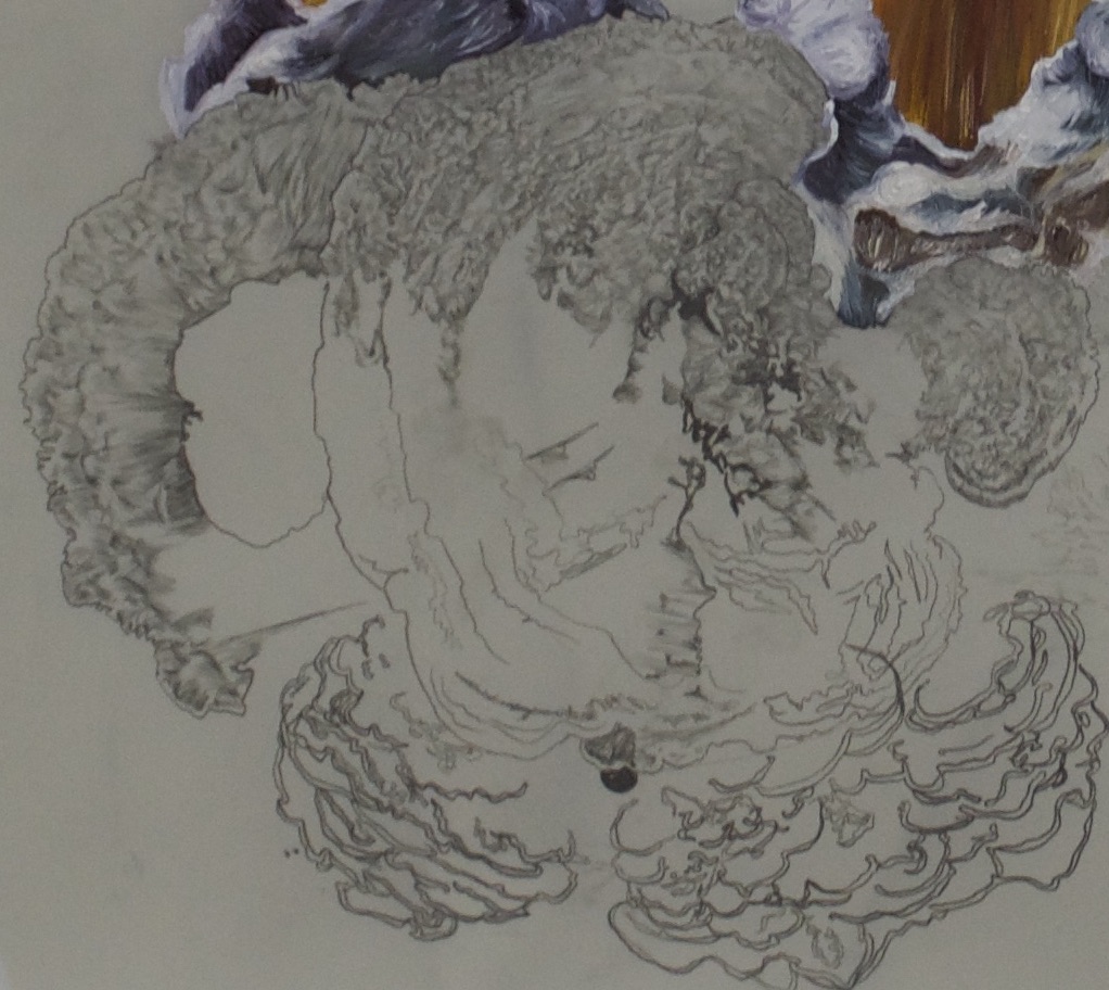 mushroom cap. graphite detail