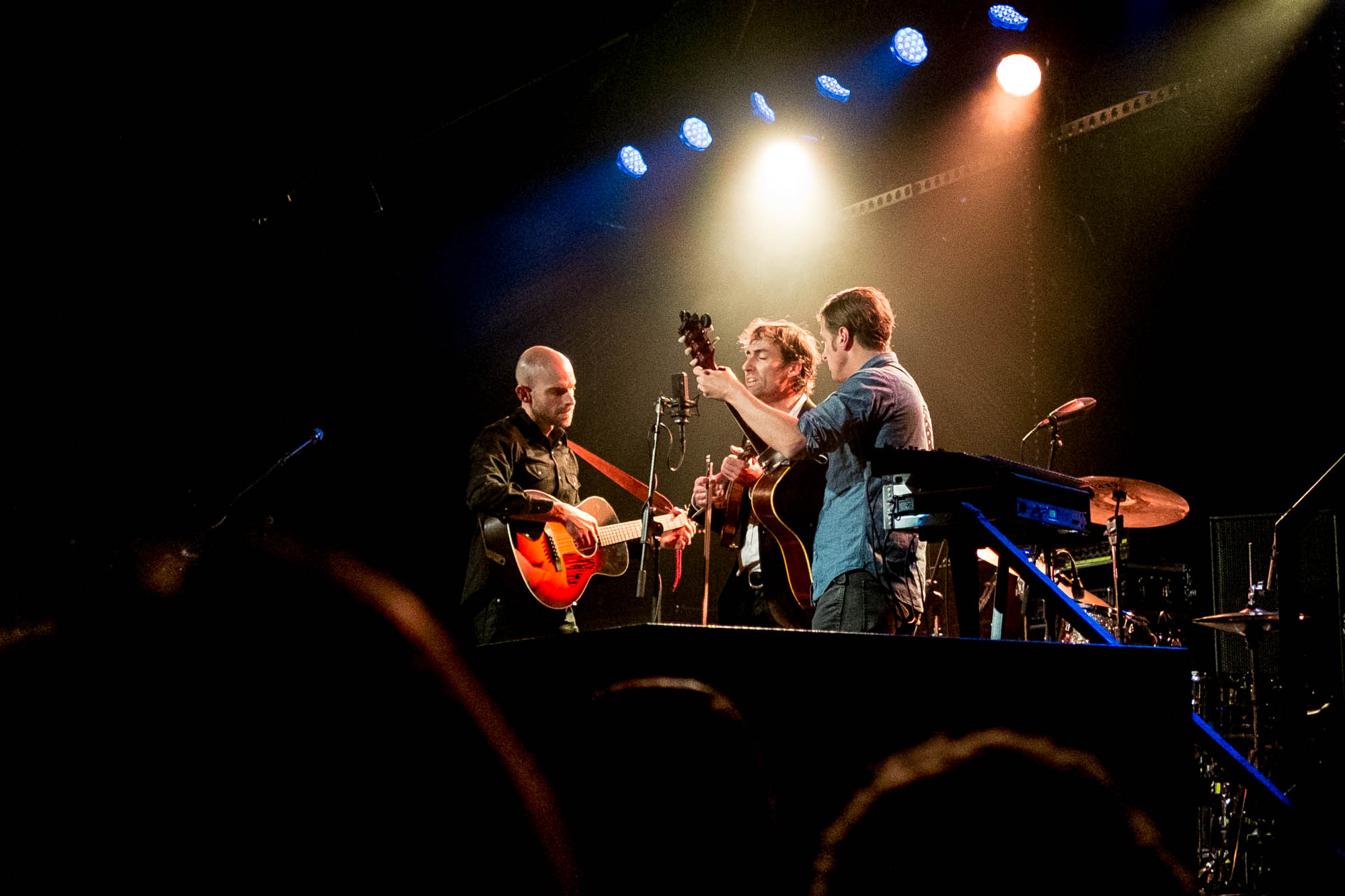 andrew bird_-4.jpg