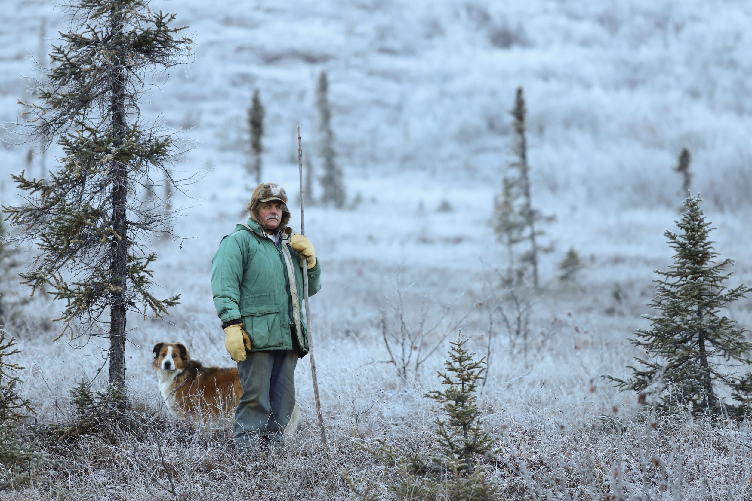  In the 1980s, Steve left his job as a teacher in the Lower 48 and drove up to Alaska with his family to pursue a dream to live on the land. Over the next ten years, Steve and his wife Kathy ran sled dogs, maintained a trap line, and raised their dau