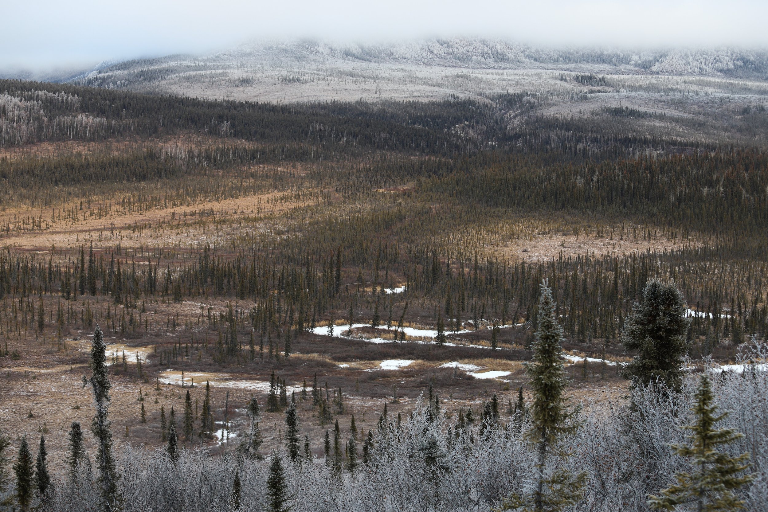 In this part of the Arctic, air temperatures can drop to -50° F and direct sunlight all but disappears below the horizon from November to January. Access is also limited to small aircraft, dog teams, and snowmobiles.