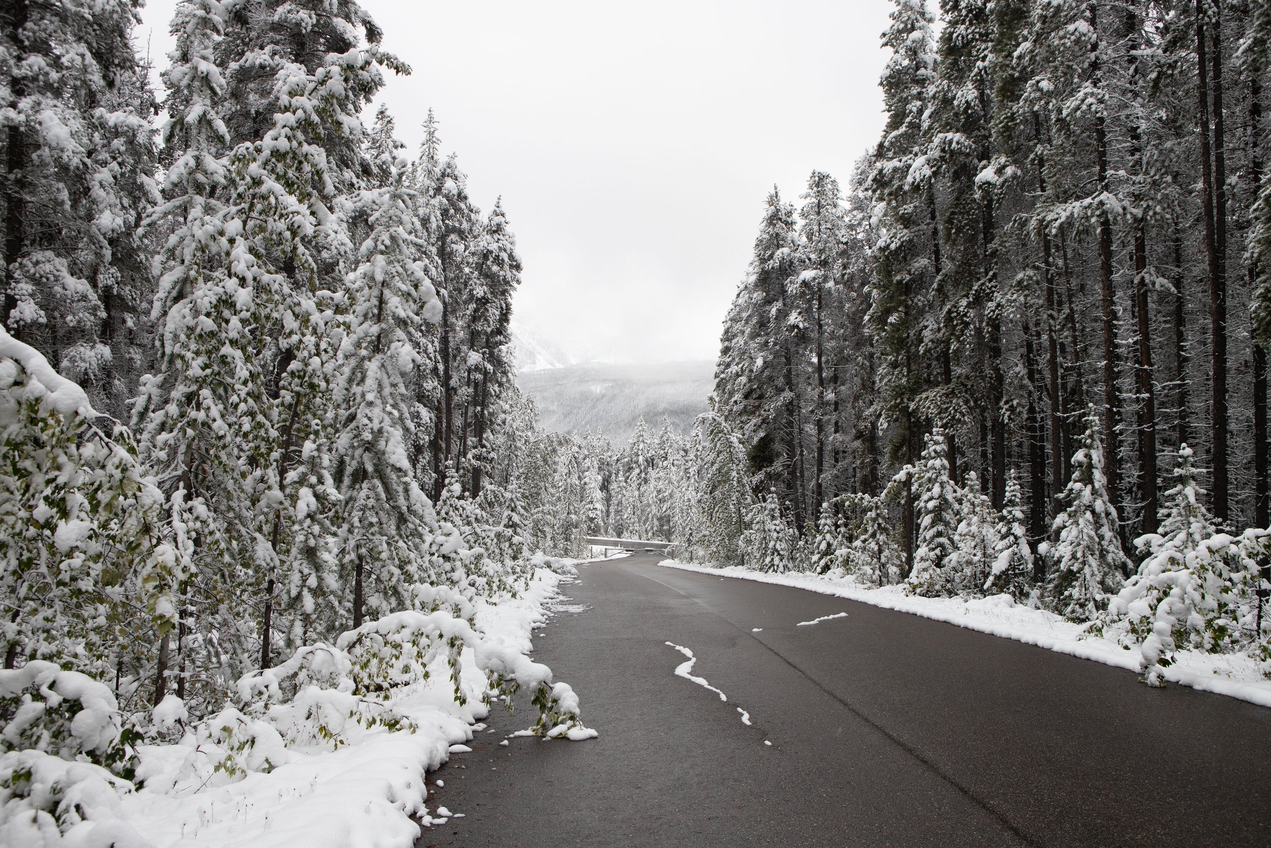 Our first sign that winter was on its way was a surprise snowstorm that dropped six inches of snow overnight in the Rockies.