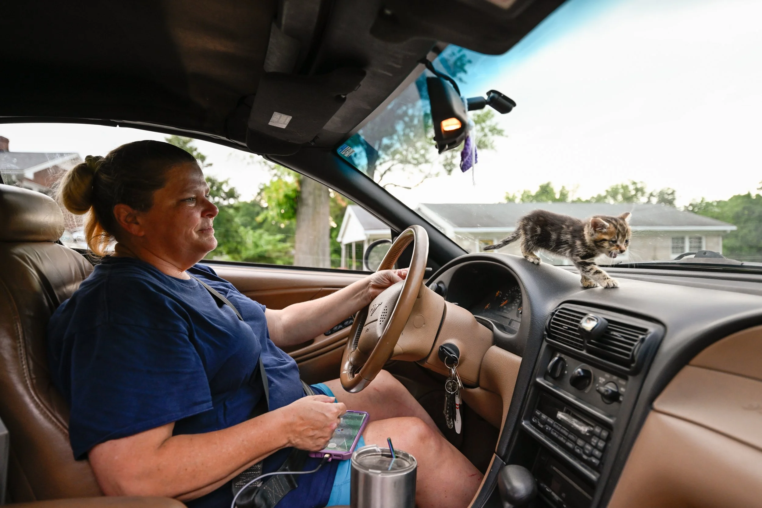 Anjanette “AJ” Cooper, 52, responds to call for an orphaned kitten in Cynthiana on Thursday, June 6, 2024. AJ rescues and raises stray kittens through Helping Hounds Find Homes in her house off Blakes Lane in Berry. She goes through a 60 pack of Sam’
