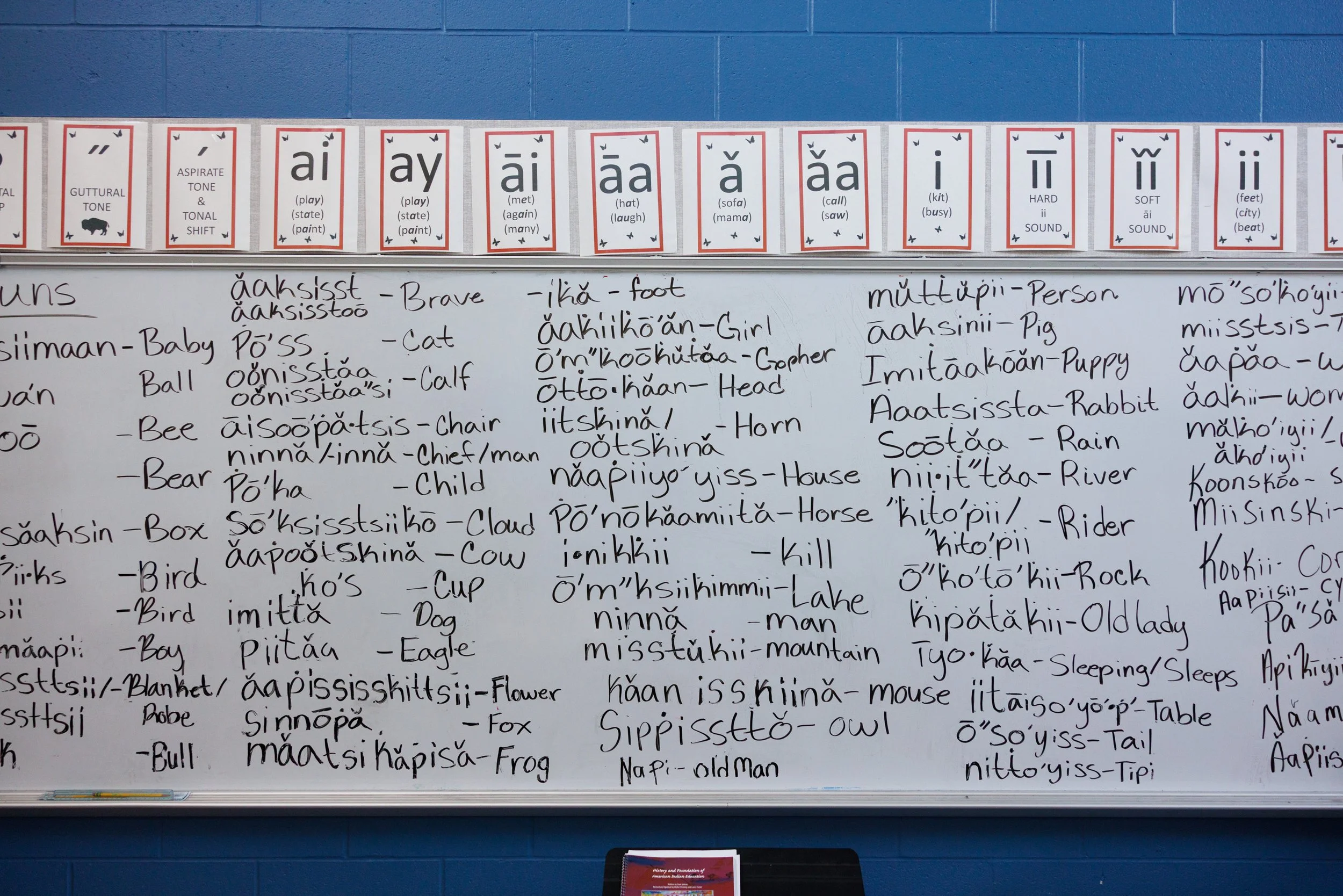 A whiteboard in the Blackfoot language classroom at Browning High School on Monday, May 19, 2025.
