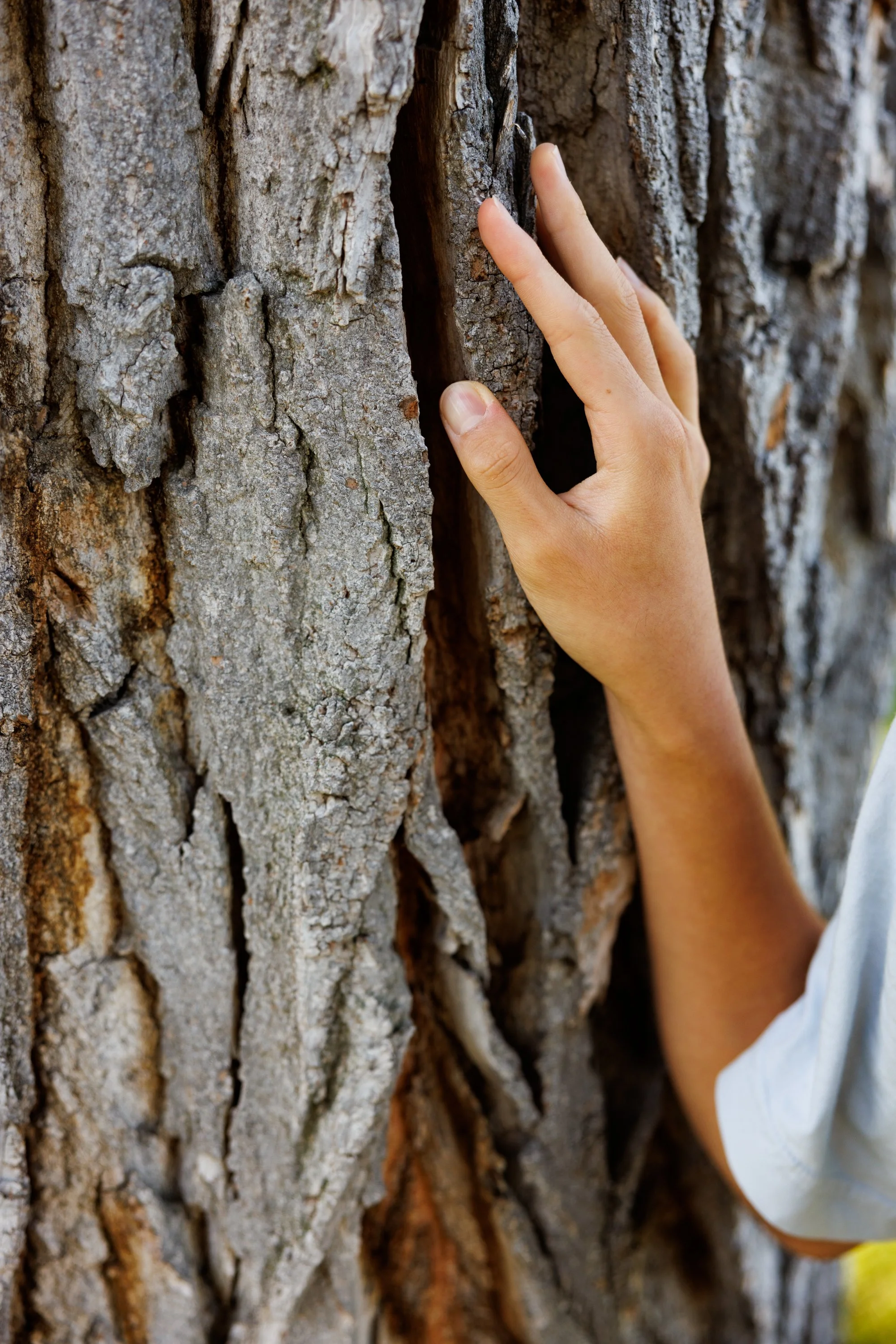 Joseph Lee, 19, one of the youth plaintiffs in Lighthiser v. Trump, poses for a portrait in Missoula on Thursday, September 18, 2025. Lee, who lives in Fullerton, California, was considering a career in environmental science, but might change paths d