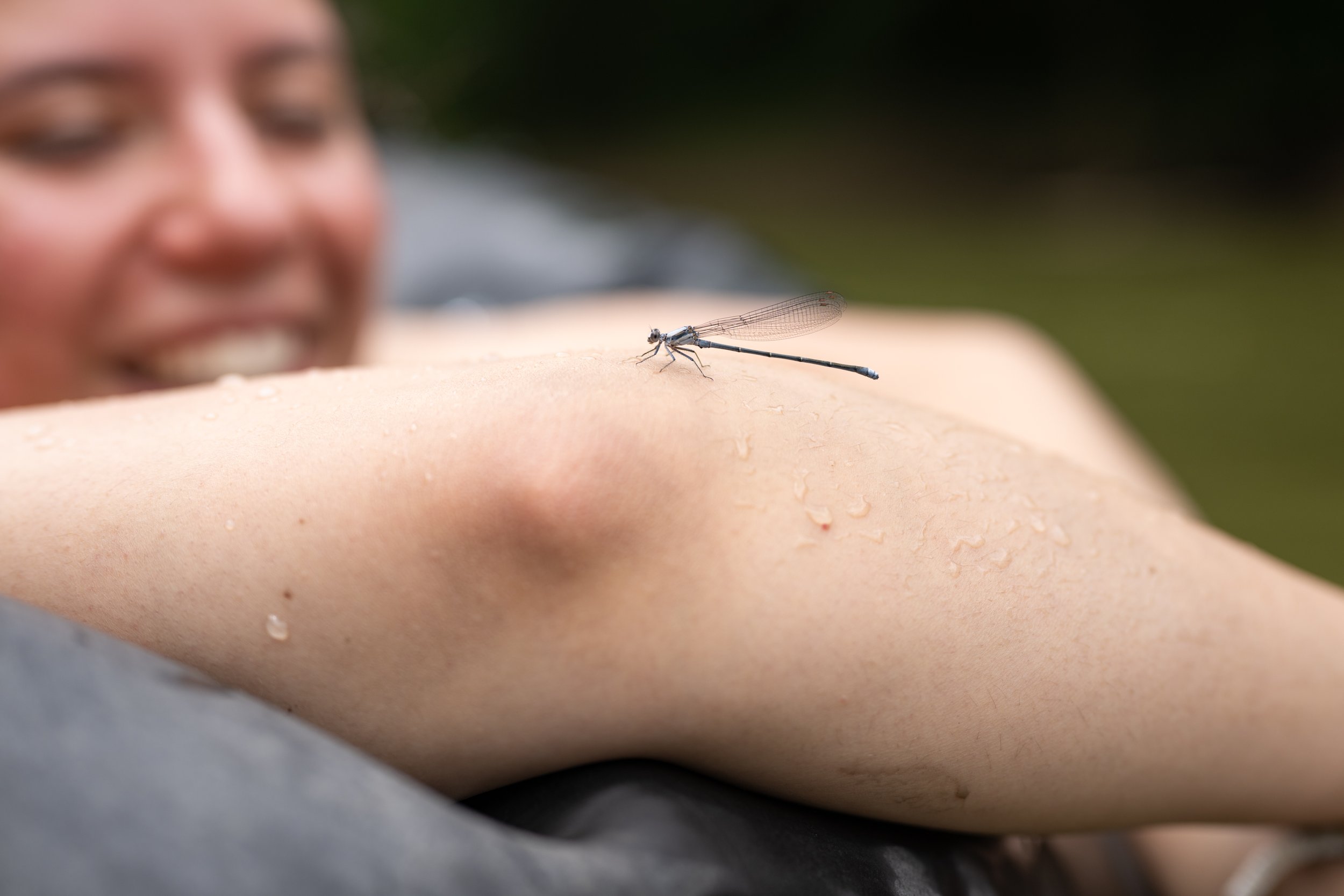 A dragon fly lands on Melina Walling's elbow while floating on the Licking River near Mount Olivet on Sunday, June 23, 2024.