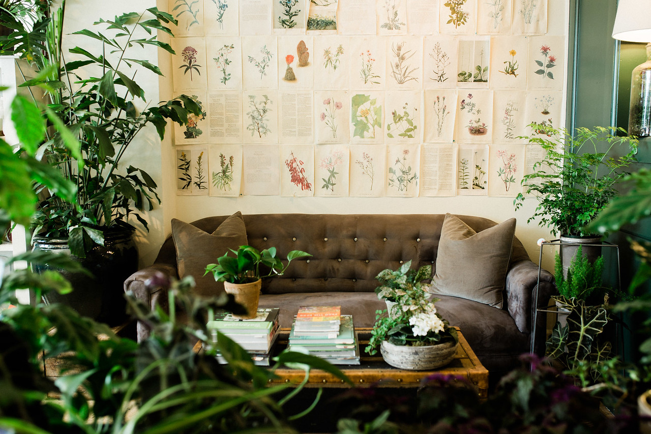 flora couch.jpg