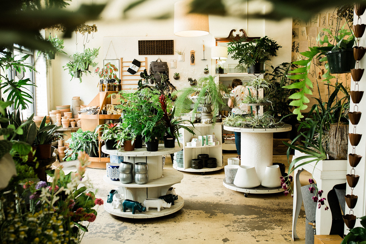 flora the inside of the store.jpg