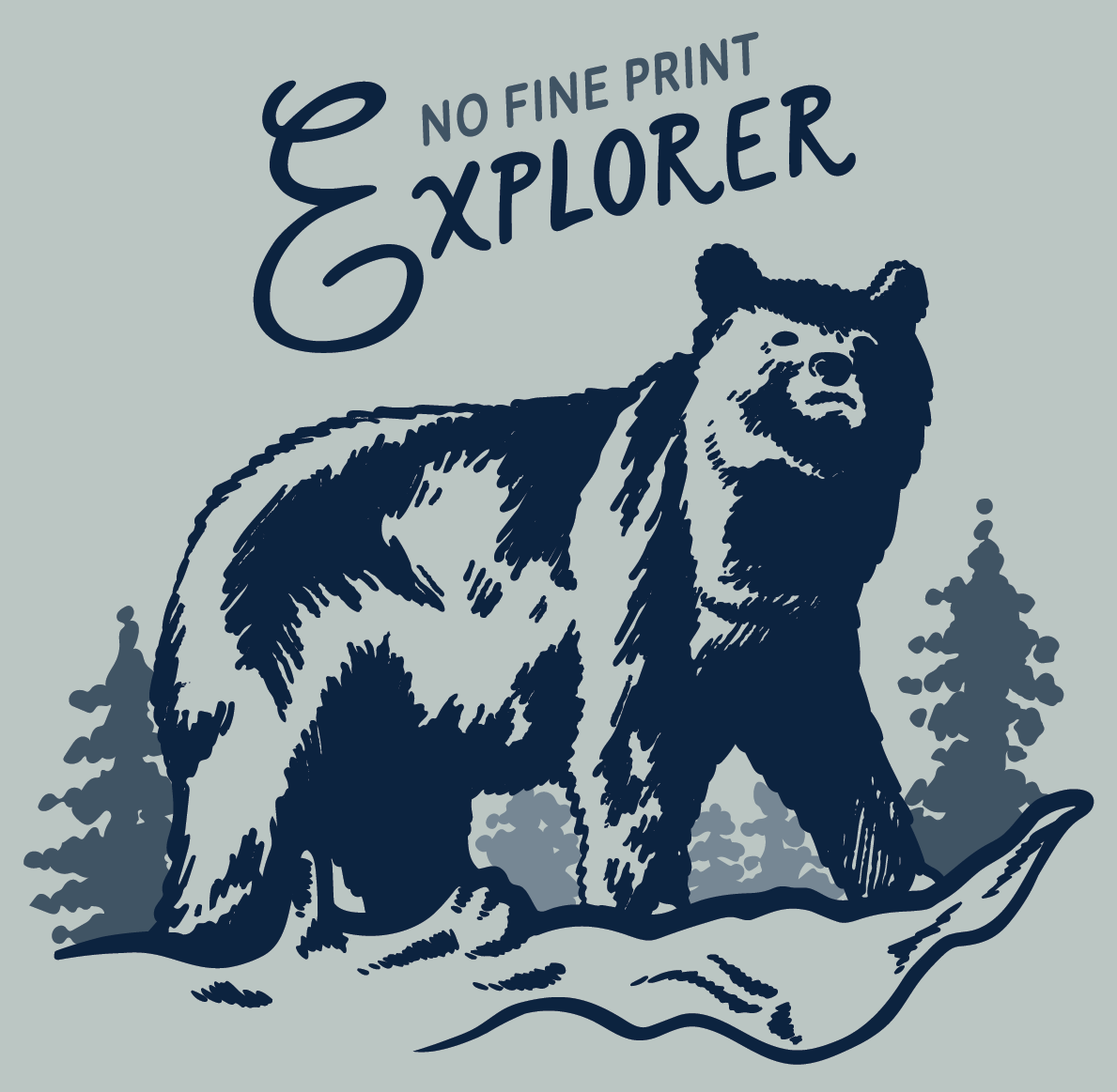 No Fine Print Explorer