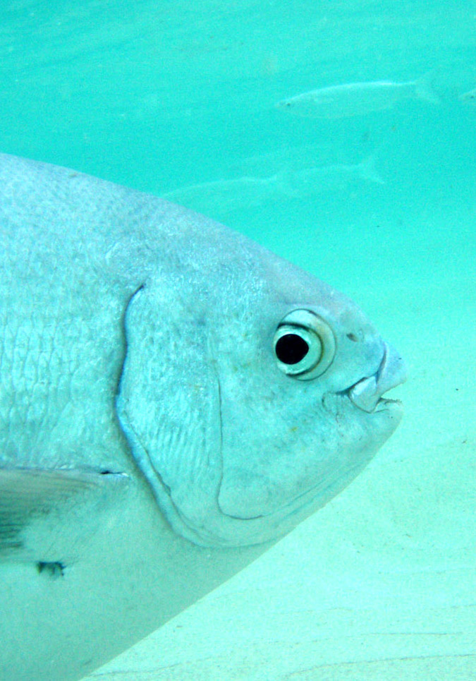 LHI_November 2006_260.jpg