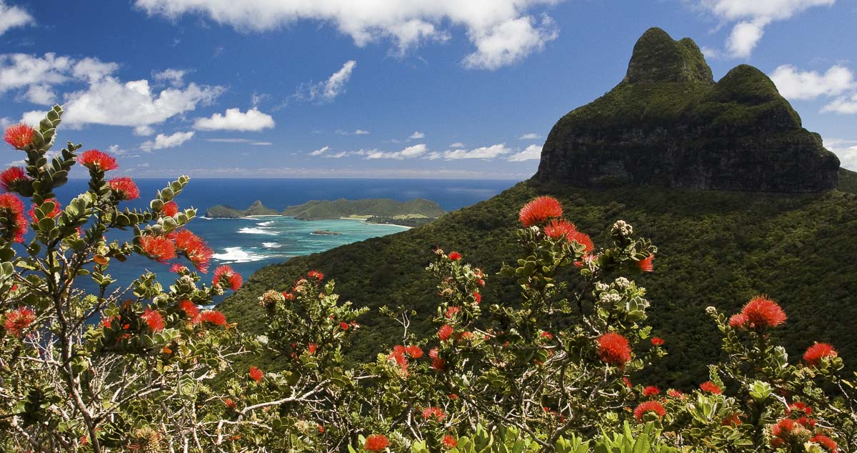 MtGower1.jpg