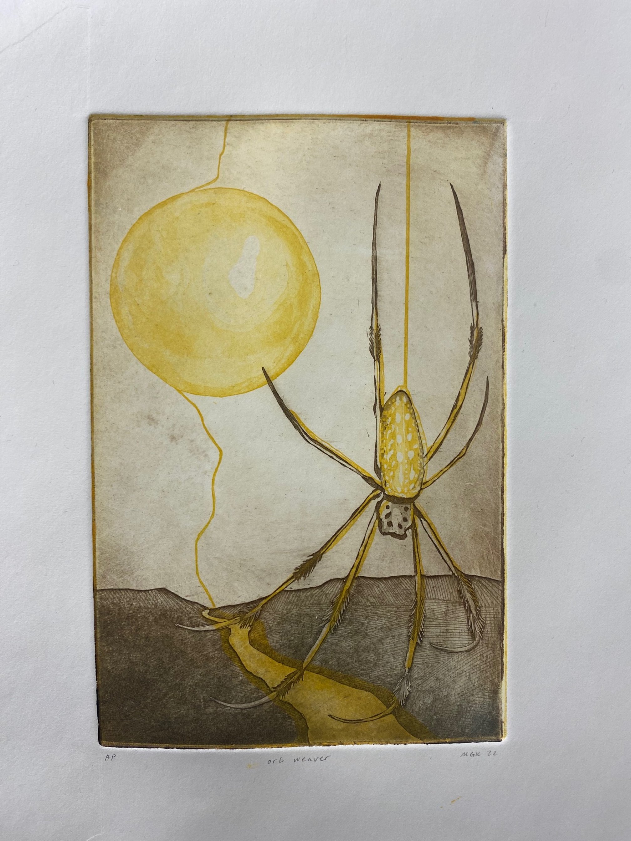 Golden Orb Weaver