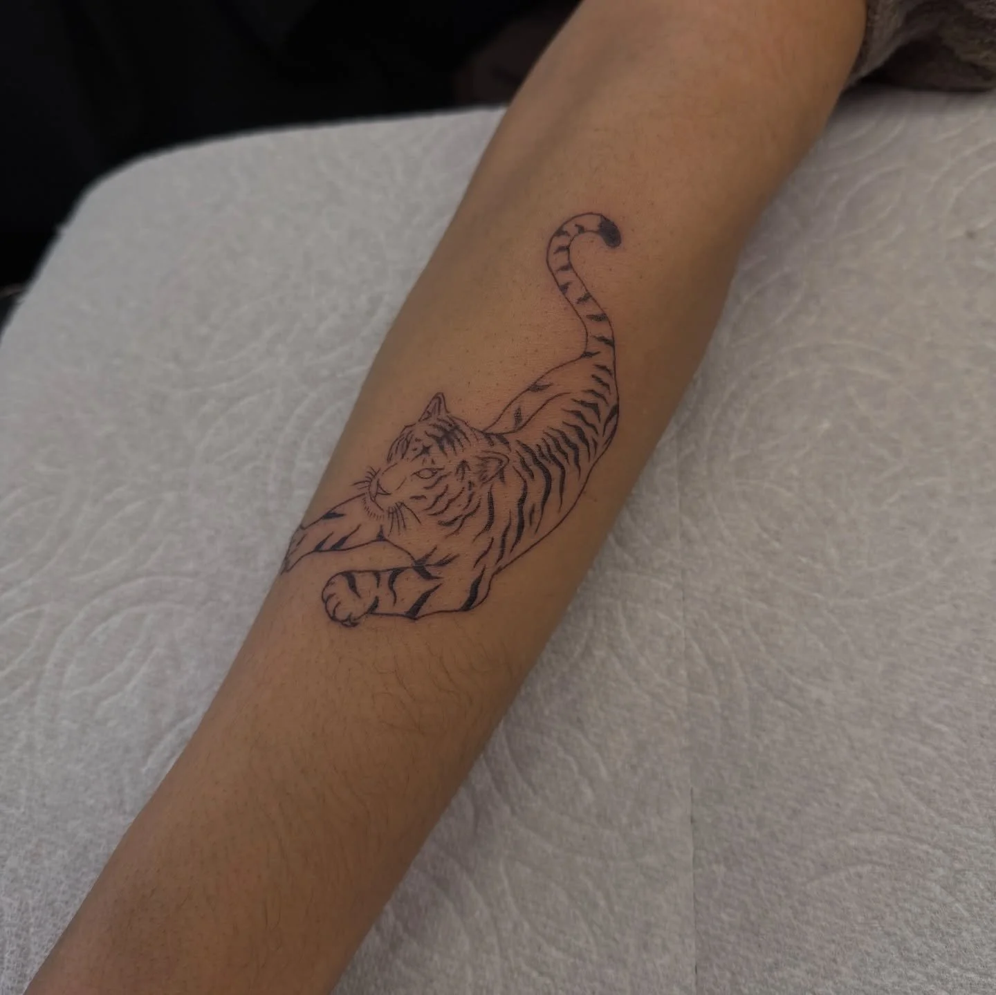 Jack of *quite a few* trades 💪🏼

#finelinetattoo #scripttattoo #angelnumber #traditionaltattoos #tigertattoo