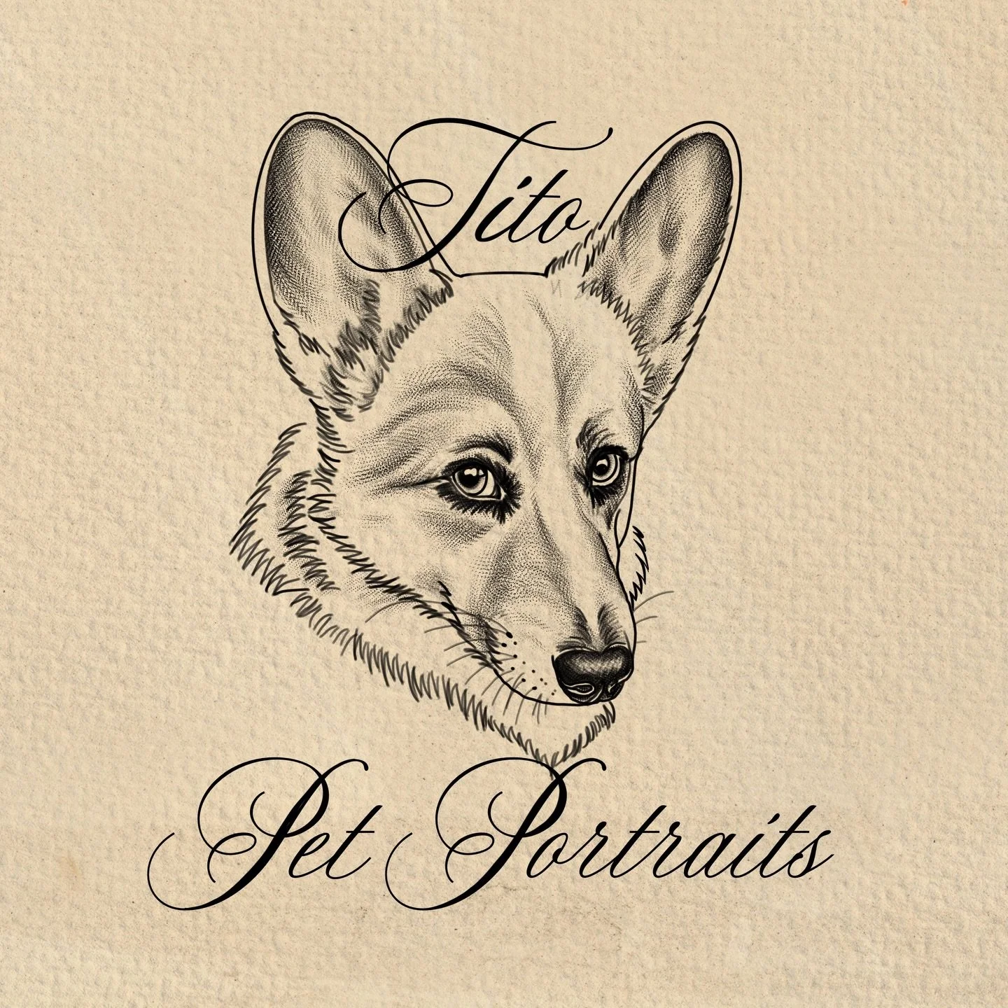 This year&rsquo;s June Fundraiser is for the Humane Society of Southwest Washington 💕 I will be doing custom pet portraits for limited spot in June, so message me for details to claim your spot! $250 for 1 pet, $350 for 2 pets (in the same tattoo). 