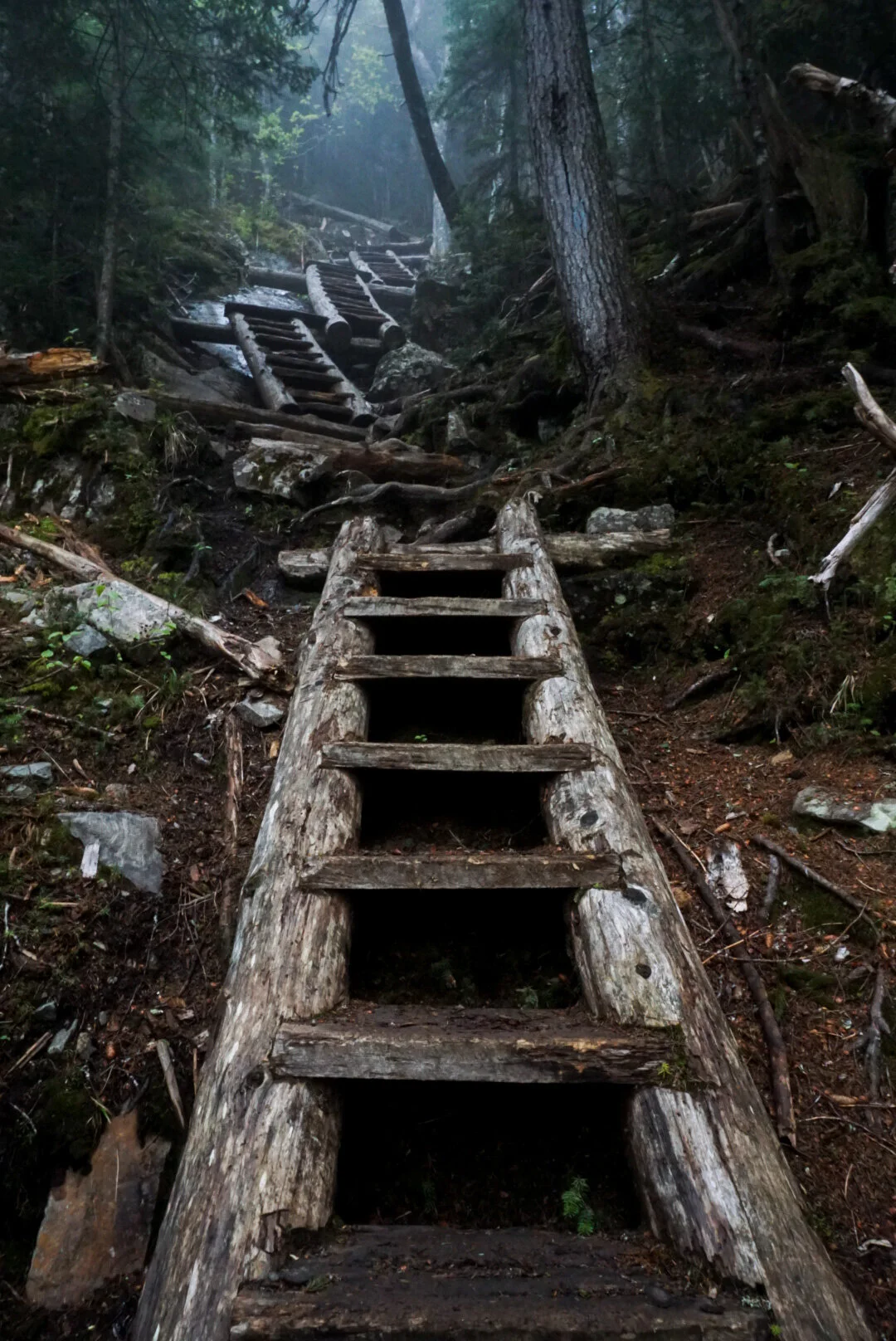 Understanding Self-esteem: Calling Back your Power