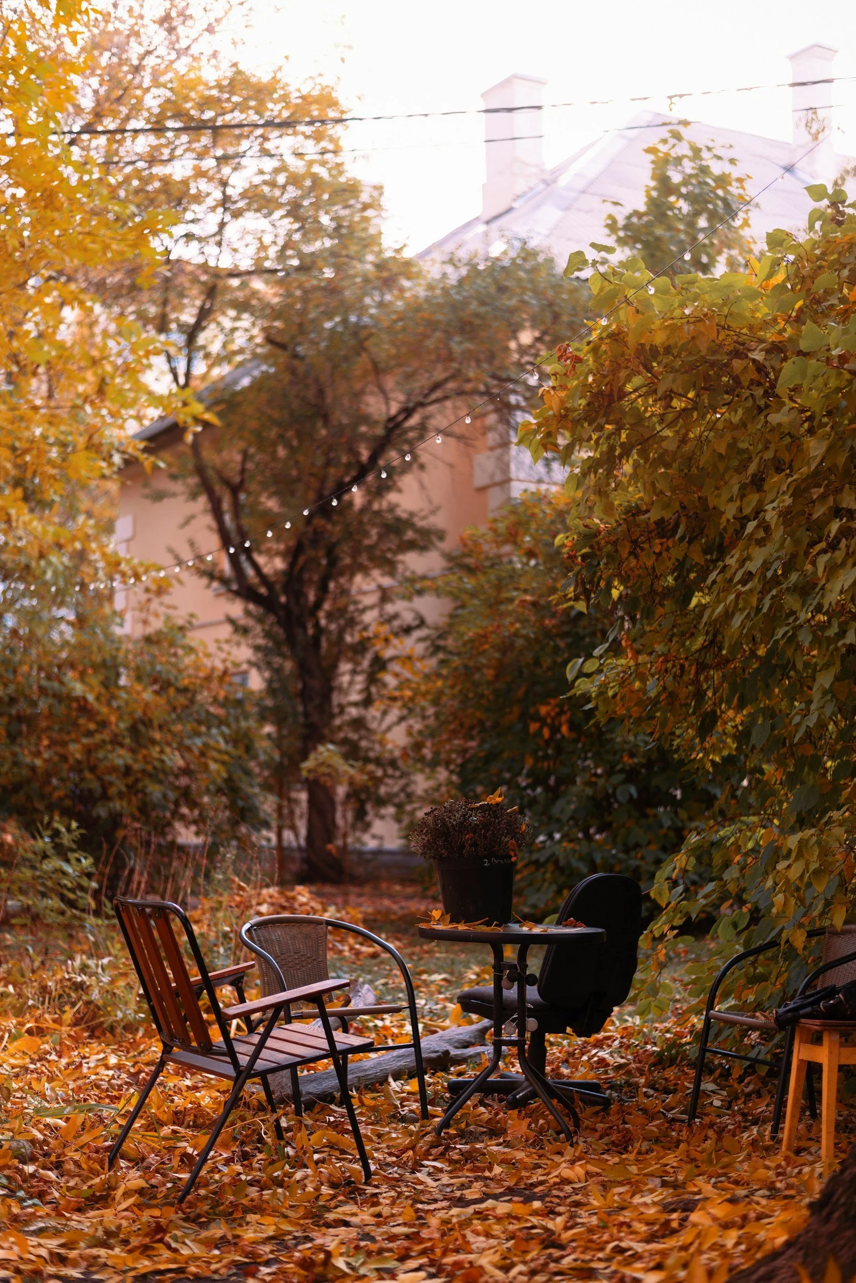 Why Autumn Is the Perfect Time to Start Virtual Therapy
