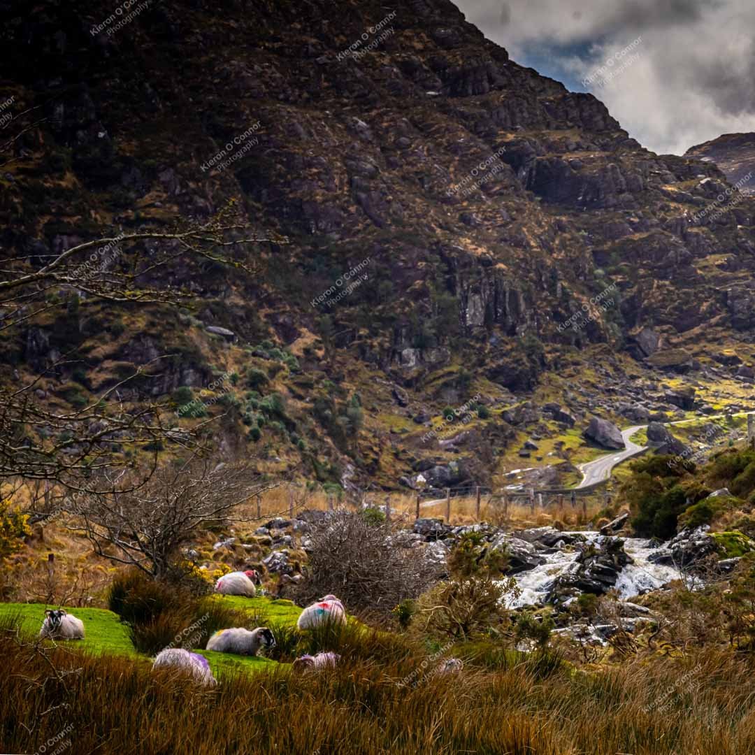 Watermark-Gap of Dunloe-Co Kerry-KieronOConnor-Ireland-.jpg