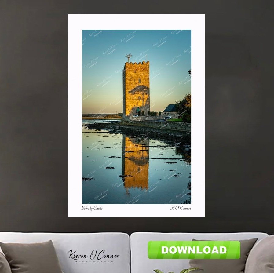 -Frame-Belvelly+Castle-Great+Island-CoCork-Ireland-KieronOConnor-1.jpg